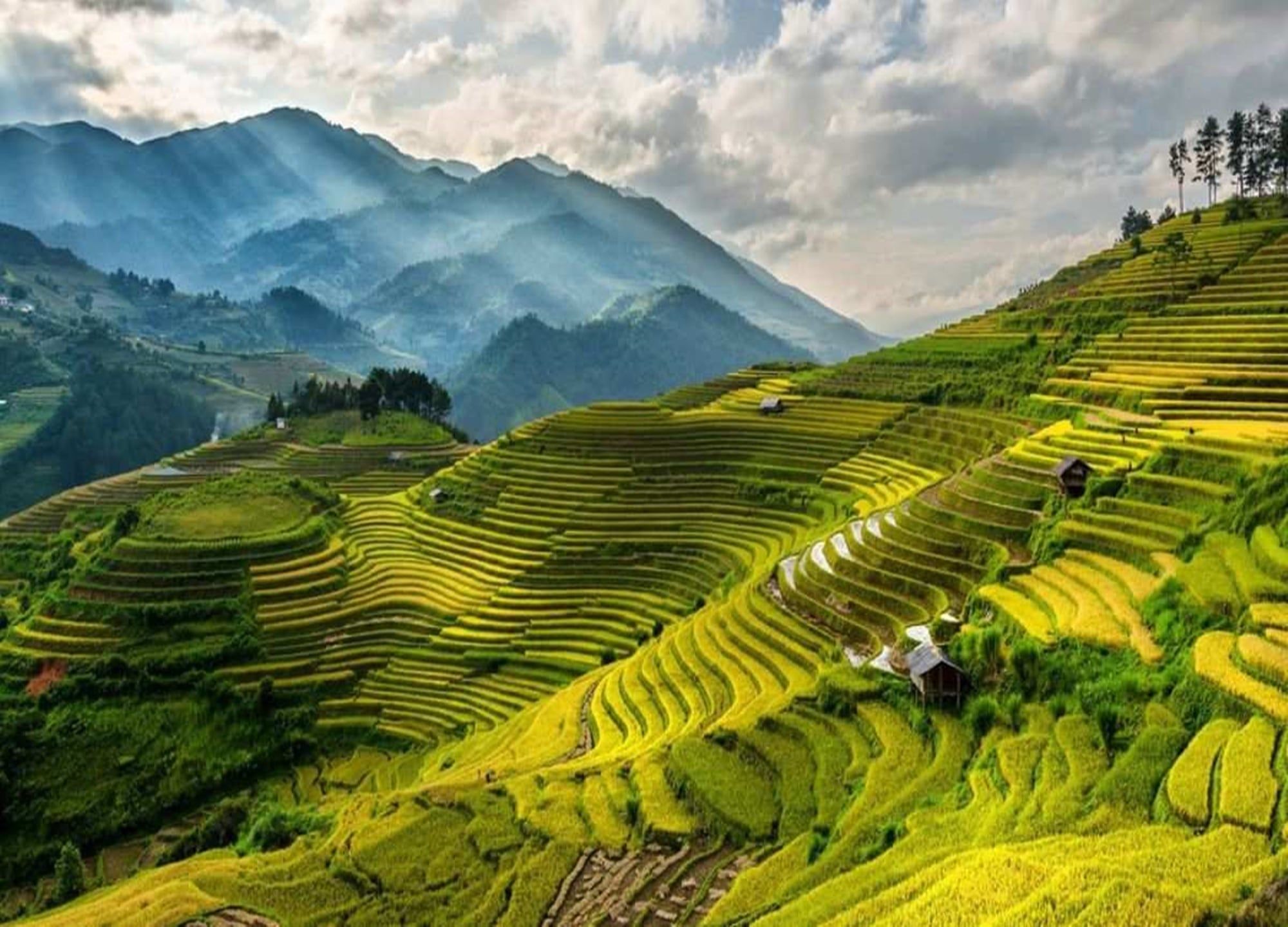 Sapa Vietnam Wallpapers - Top Free Sapa Vietnam Backgrounds ...