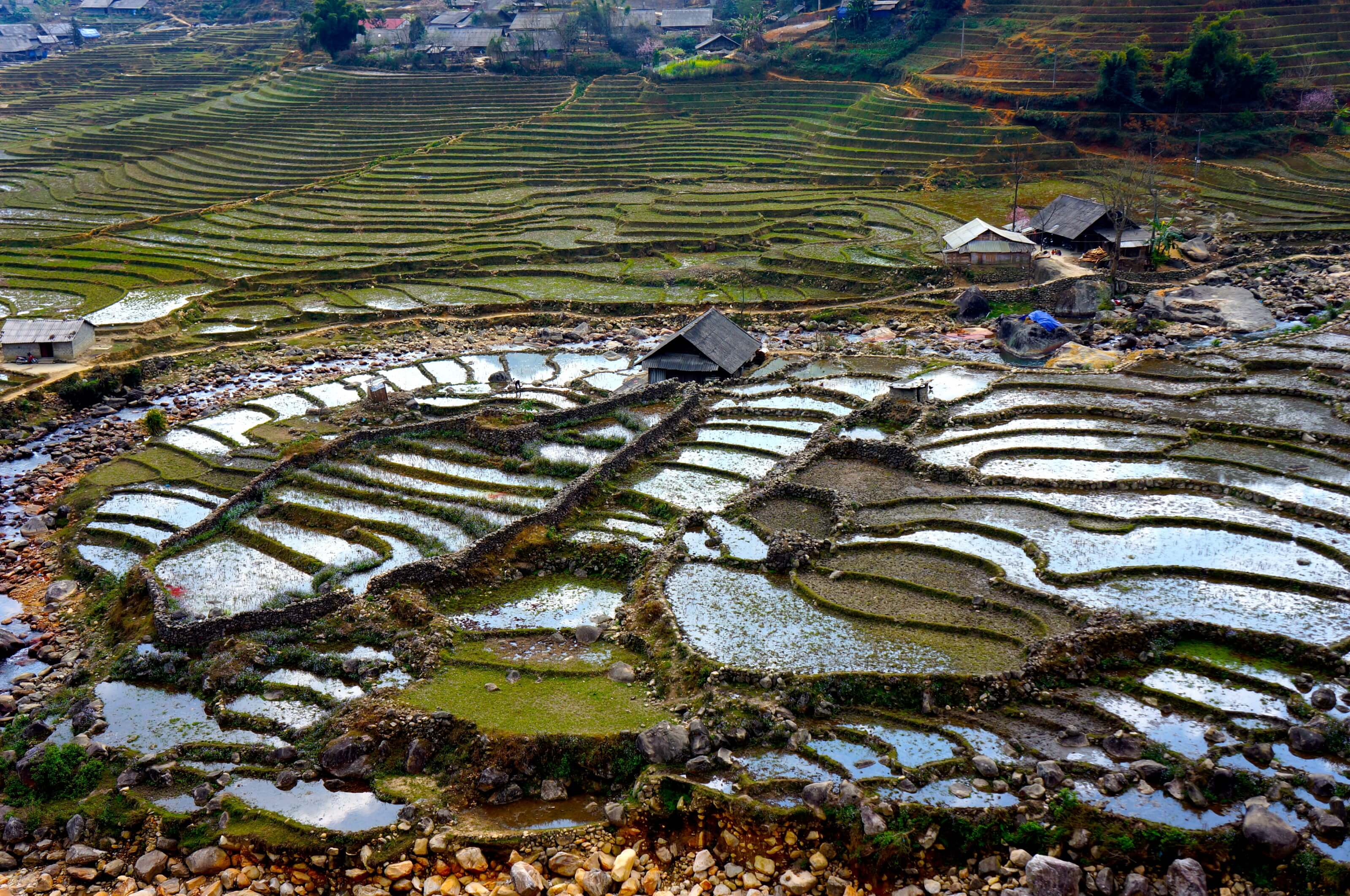 Sapa Vietnam Wallpapers - Top Free Sapa Vietnam Backgrounds ...