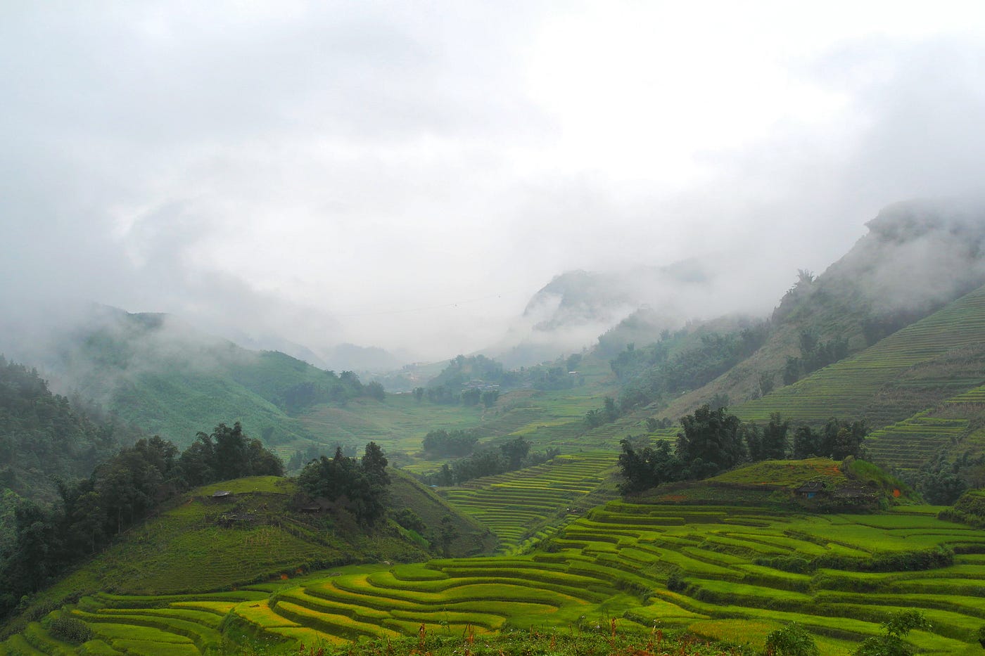 Sapa Vietnam Wallpapers - Top Free Sapa Vietnam Backgrounds ...