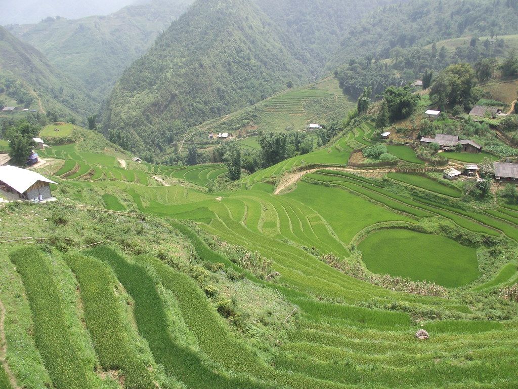 1024x768 Sapa. Sapa. Irish