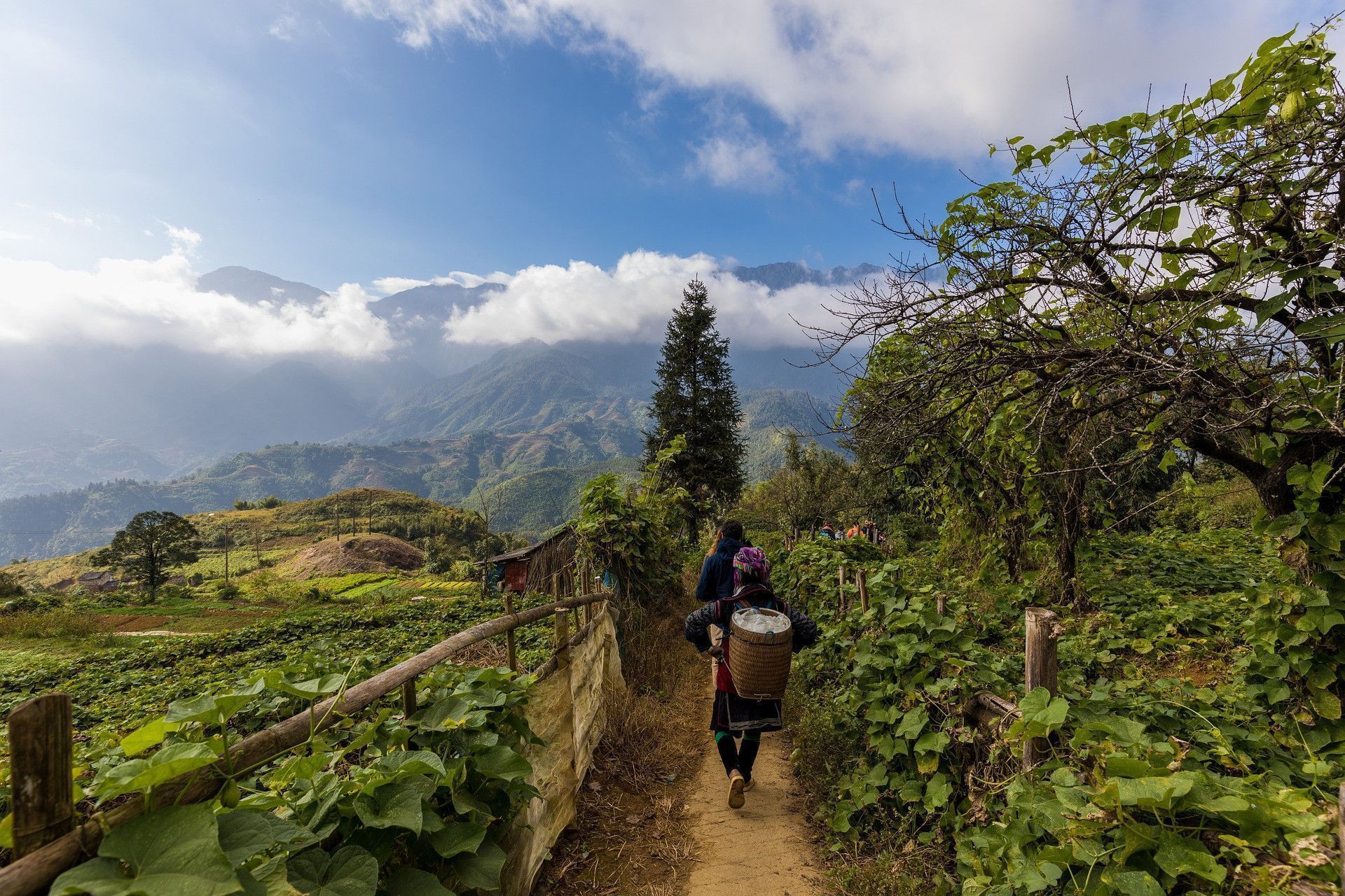 1920x1280 Sapa Vietnam a trip to Sapa