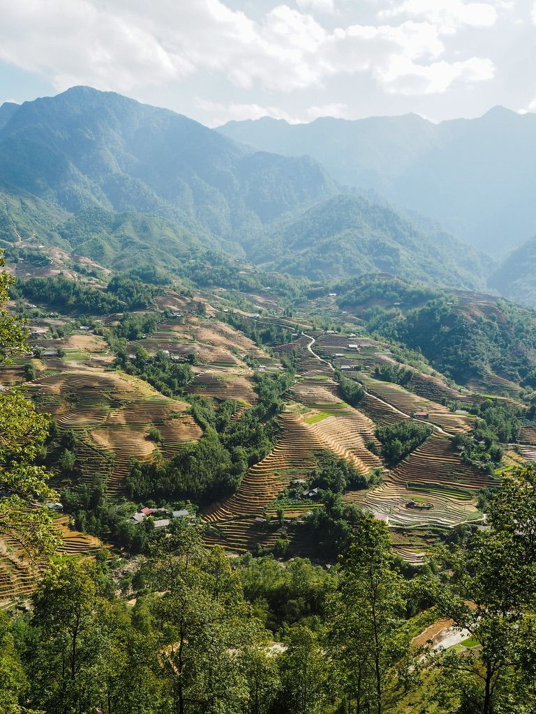 768x1024 Hiking in Sapa, Vietnam Getting Lost