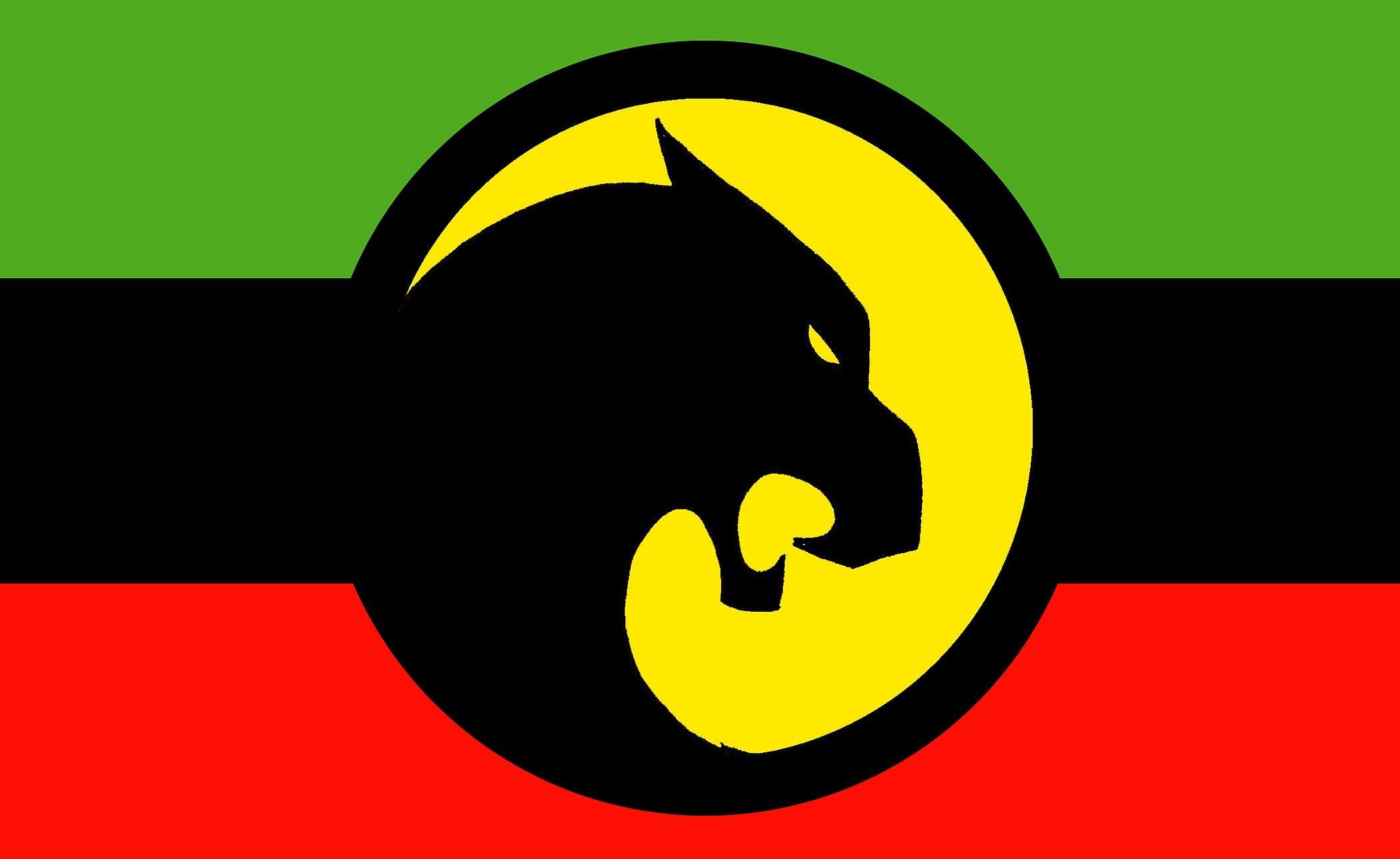 2100x1289 Flag of Wakanda Full HD Wallpaper and Background Imagex1289