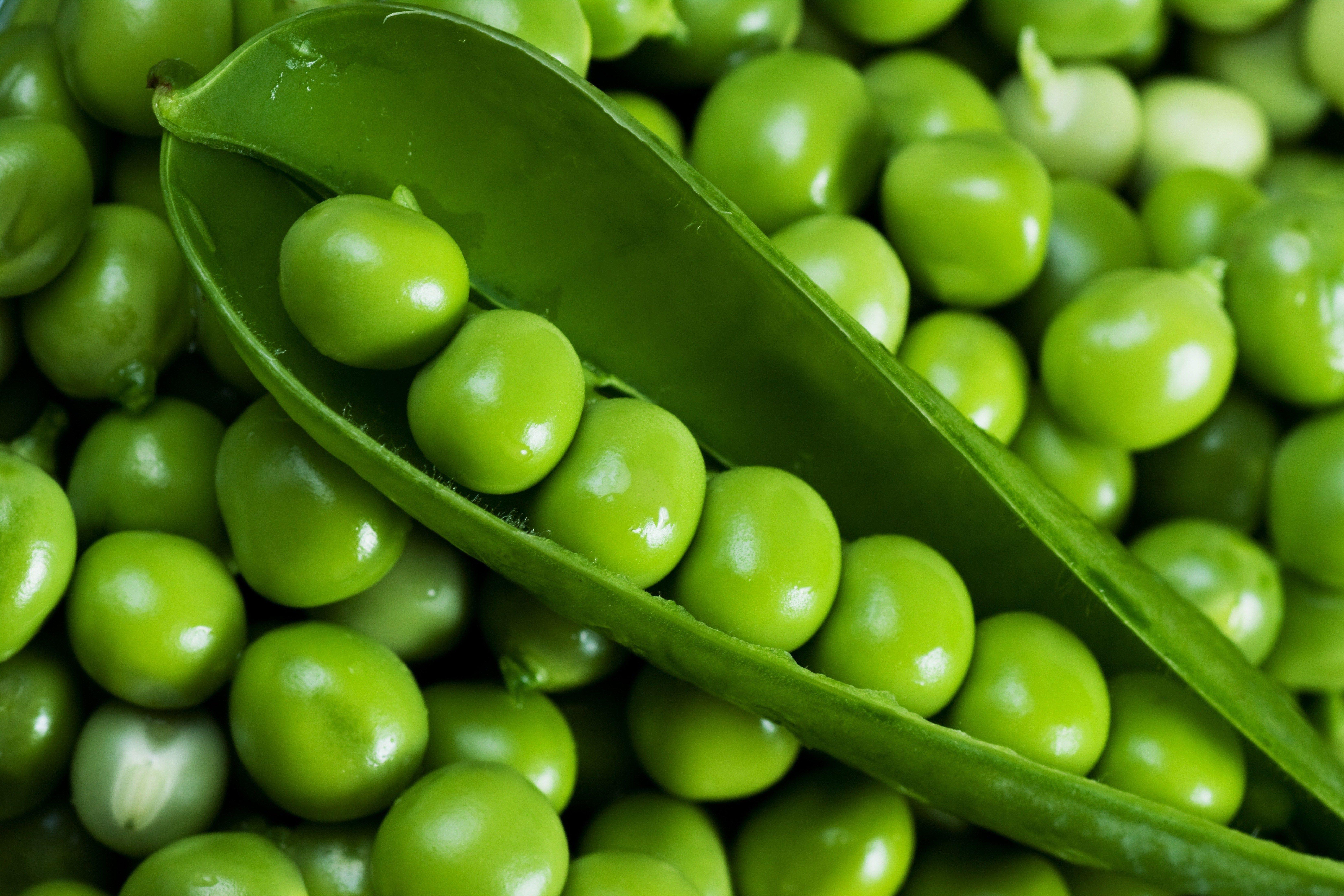 6600x4400 6600x4400 desktop wallpaper for vegetables. Food