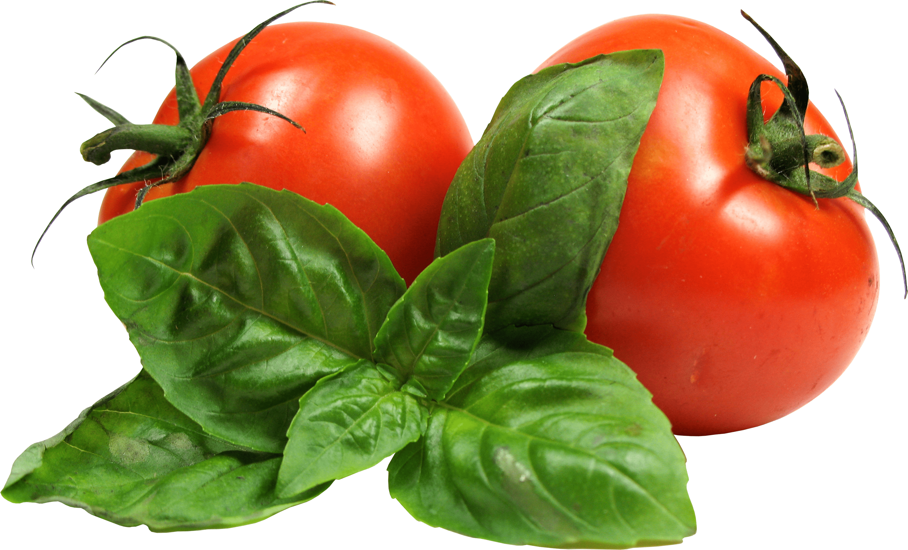 3113x1887 Vegetable PNG HD Transparent Vegetable HD PNG Image