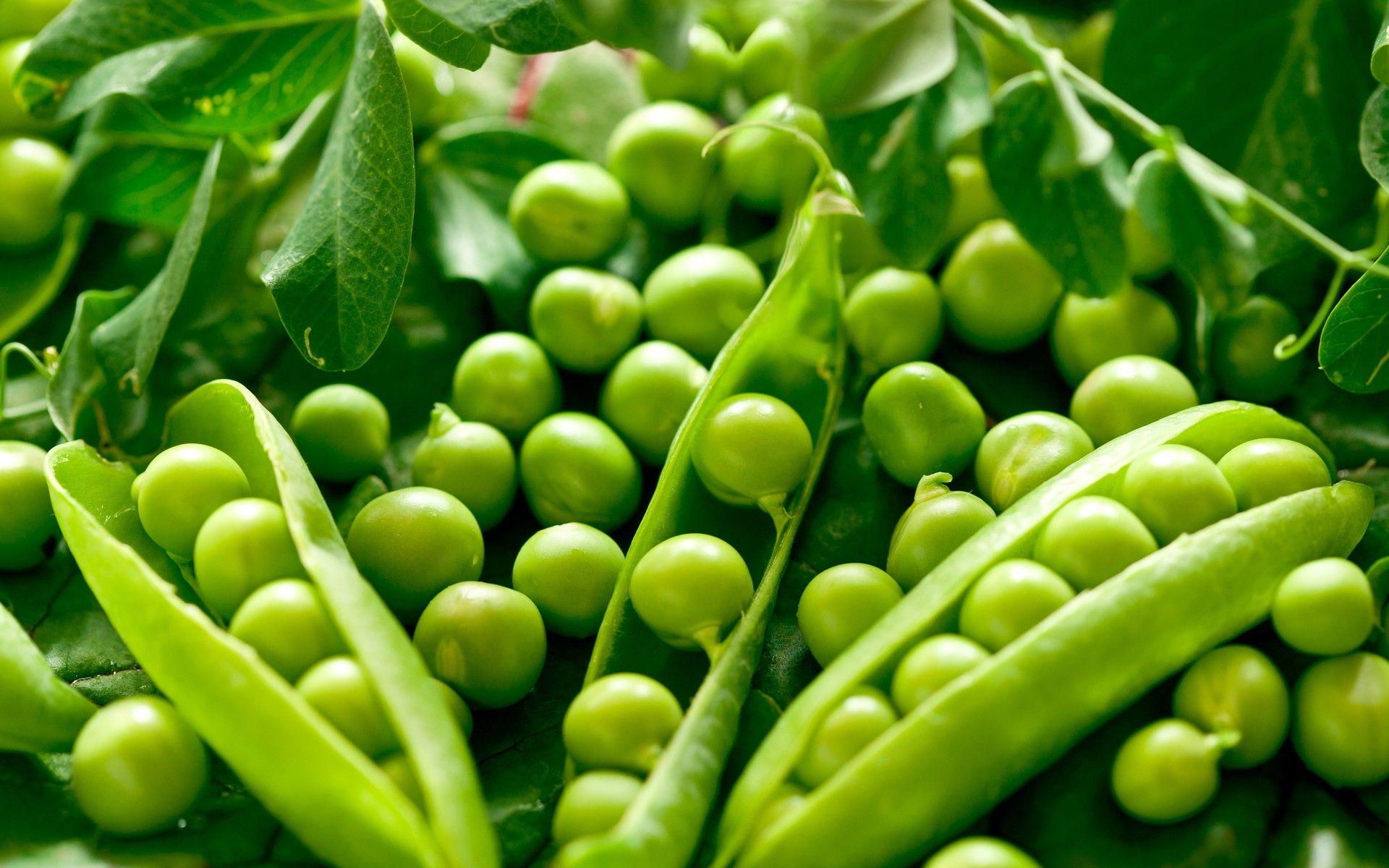 1920x1200 Vegetables Wallpaper MF 1920x1200 px