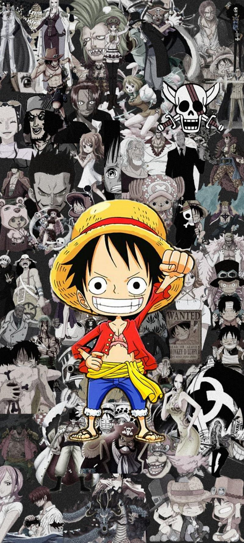 800x1777 One piece, anime, logo, theme, HD phone
