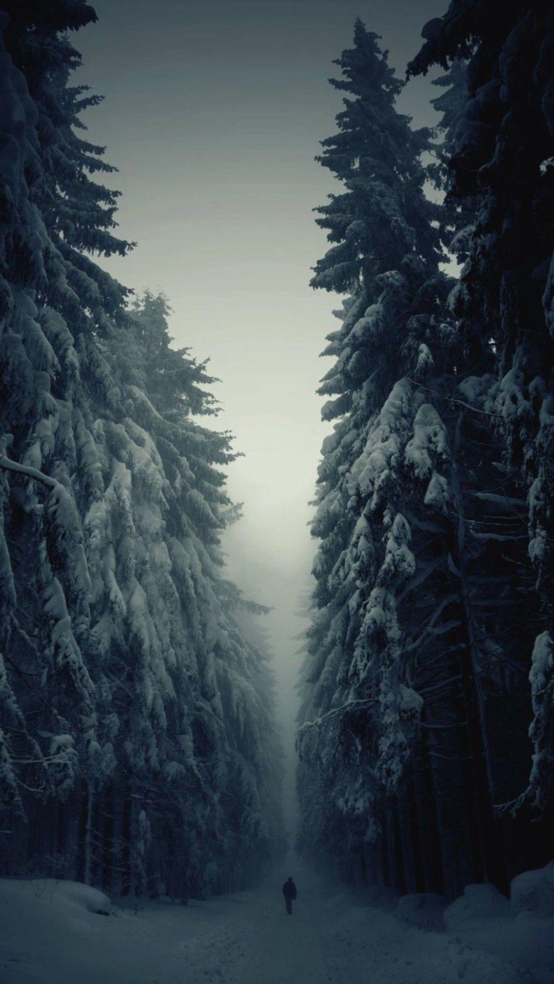 1080x1920 Snow iPhone Wallpaper