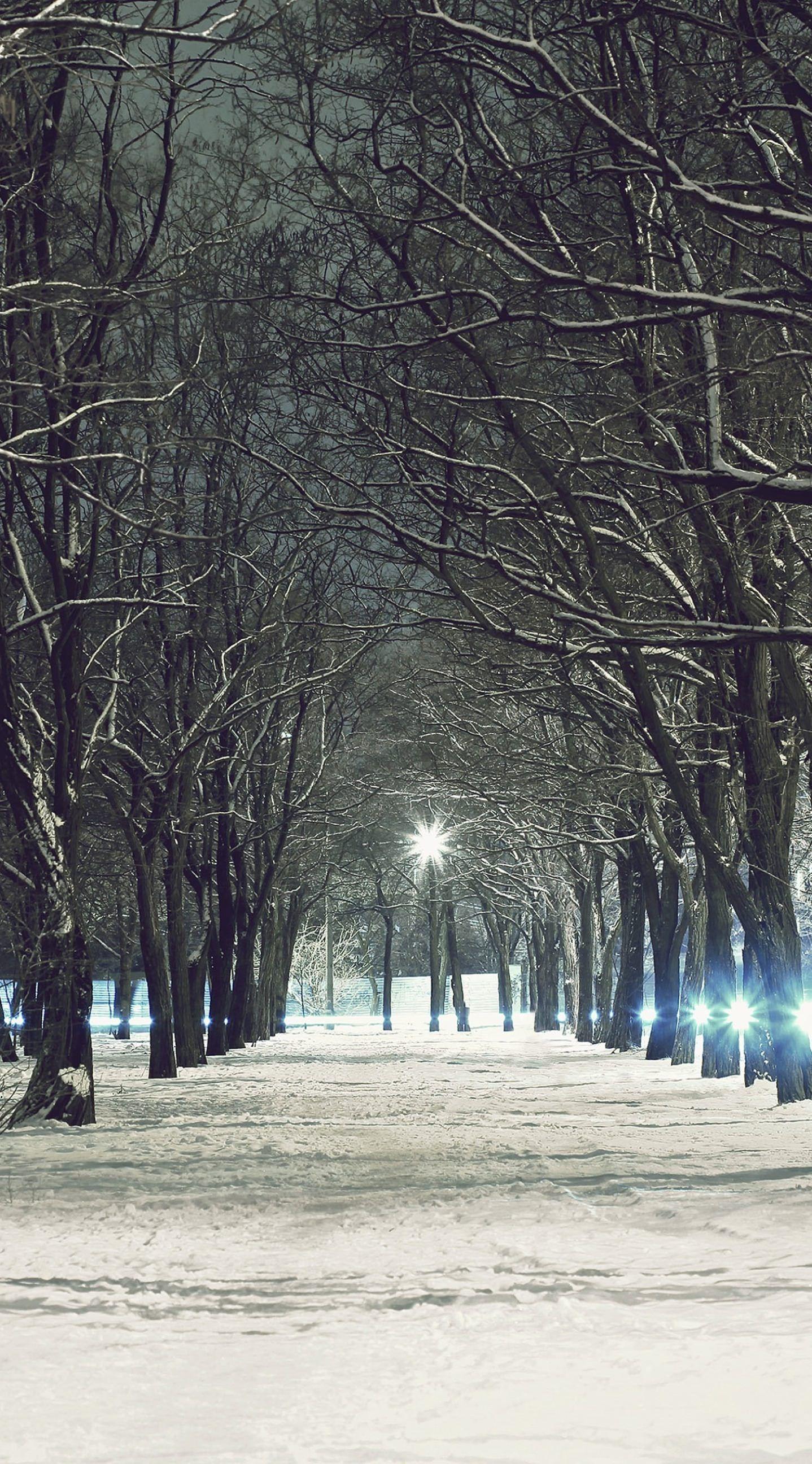 1438x2592 Landscape Ki snow. wallpaper.sc iPhone6sPlus