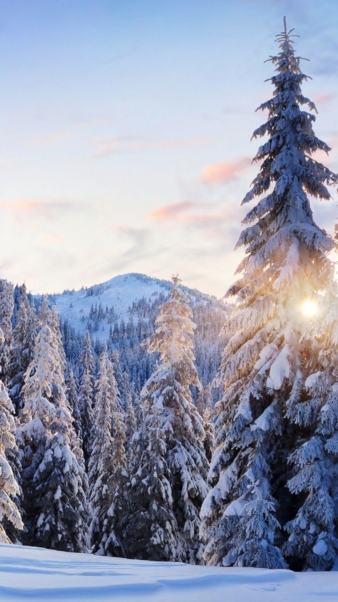 1080x1920 Winter Wallpaper iPhone 6 Plus