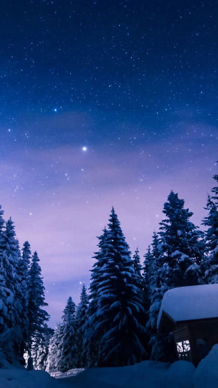 750x1334 Winter Wallpaper iPhone 6 Plus