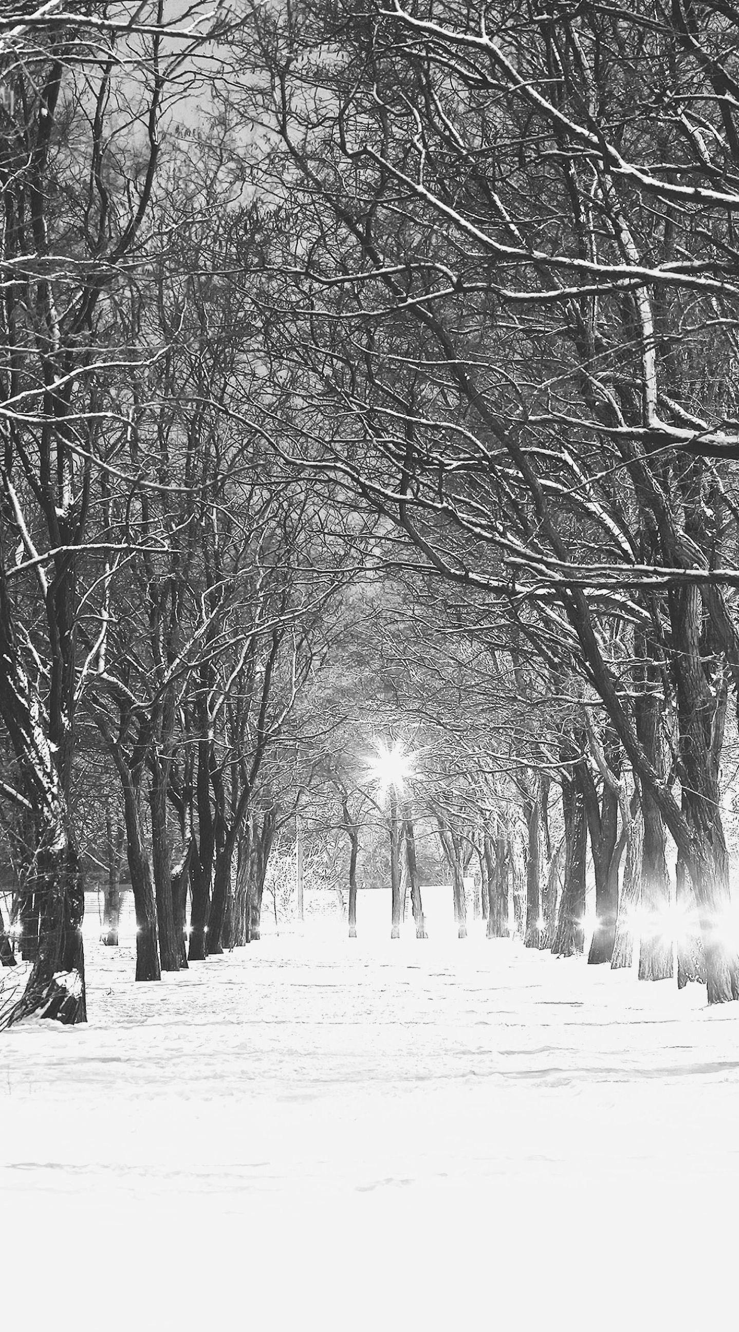 1438x2592 Snow iPhone Wallpaper
