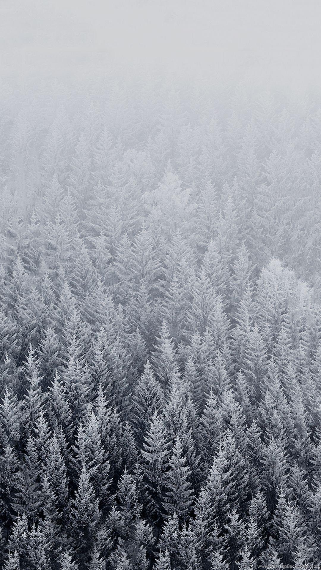 1080x1920 iPhone 6 Plus Wallpaper Official Winter With Snowy Trees