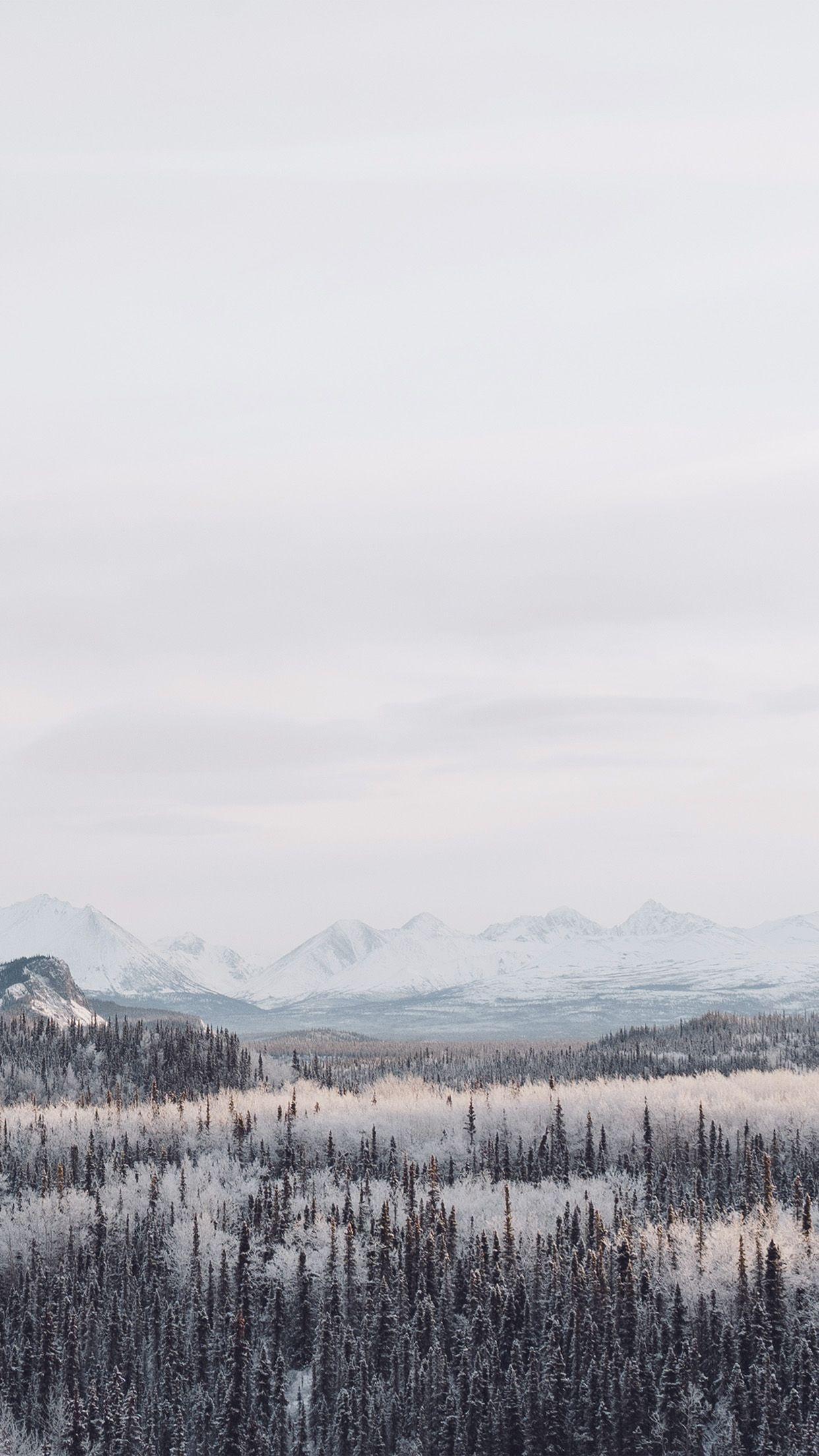 1242x2208 iPhone 6 wallpaper. winter