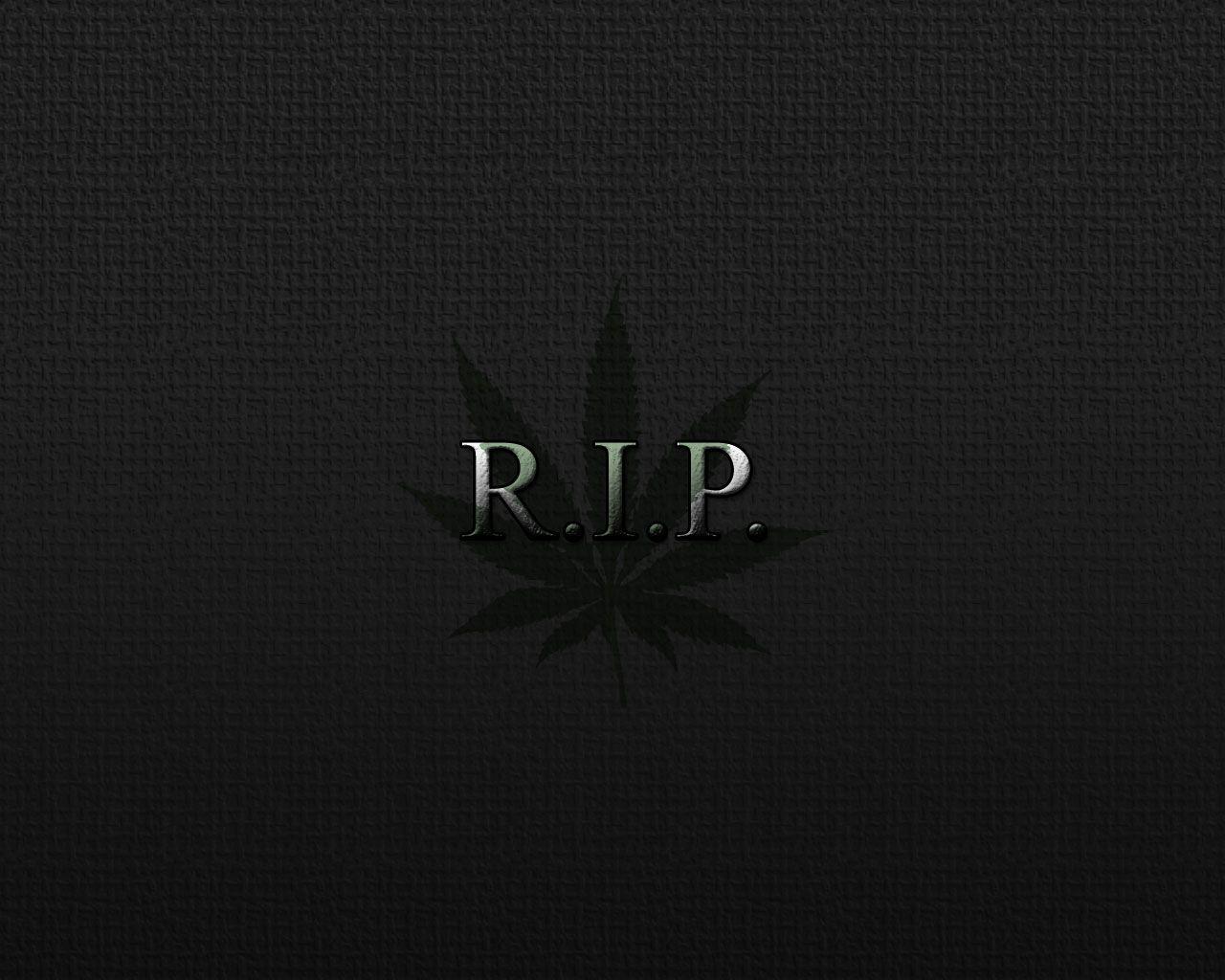 Rest In Peace Background Images HD Pictures and Wallpaper For Free  Download  Pngtree