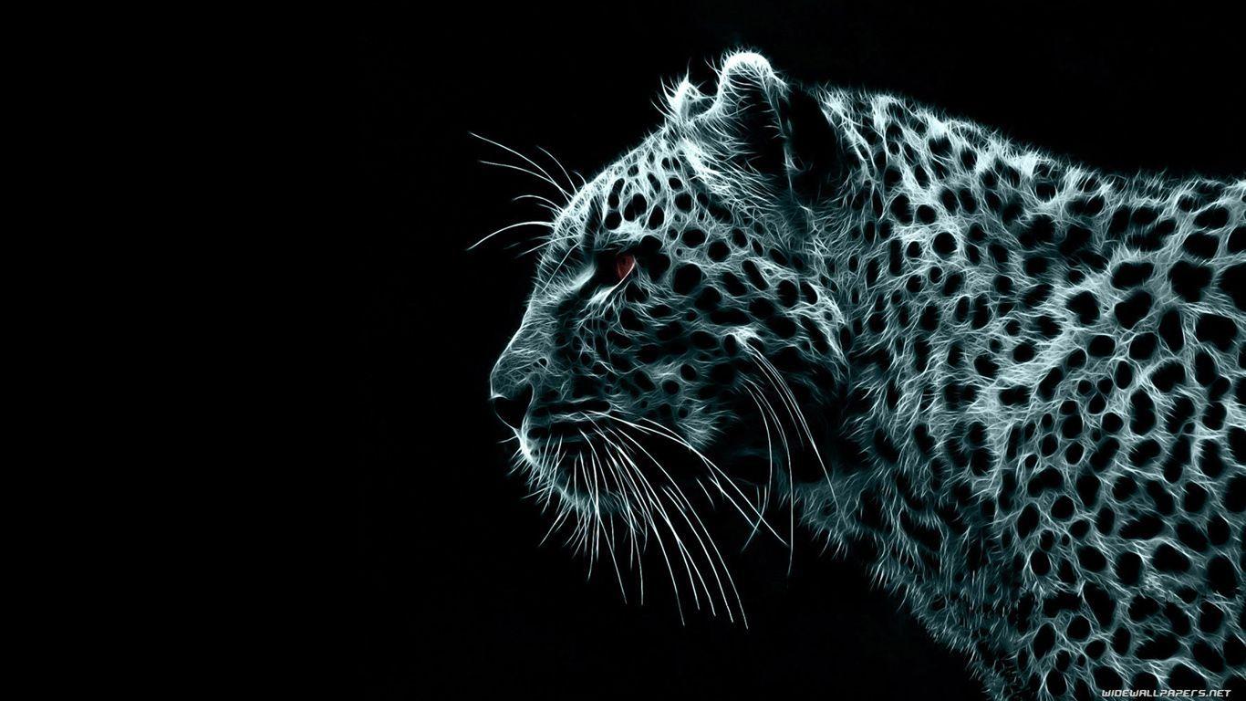 Cool Snow Leopard Wallpapers - Top Free Cool Snow Leopard Backgrounds