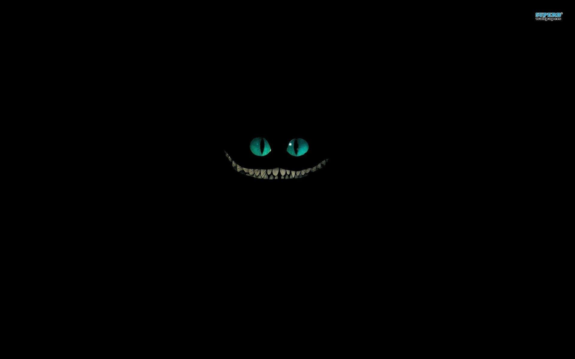 1920x1200 Cute Cartoon Cat Wallpaper