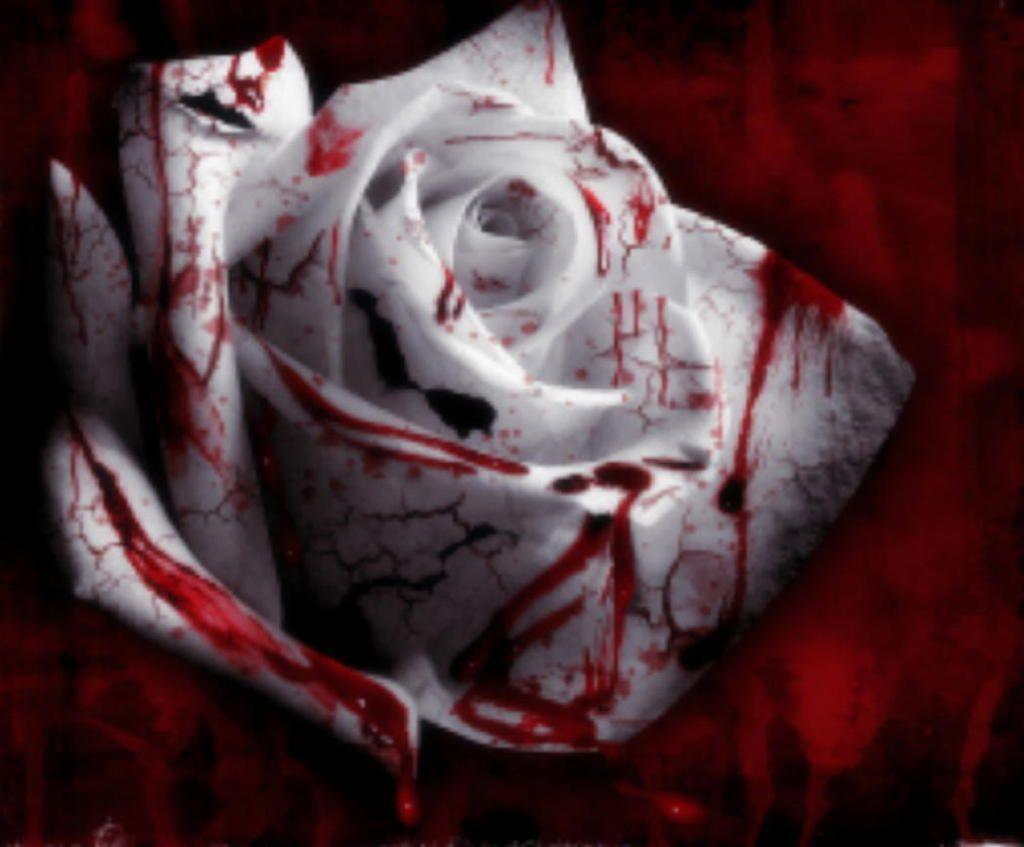 1024x847 Bloody Background
