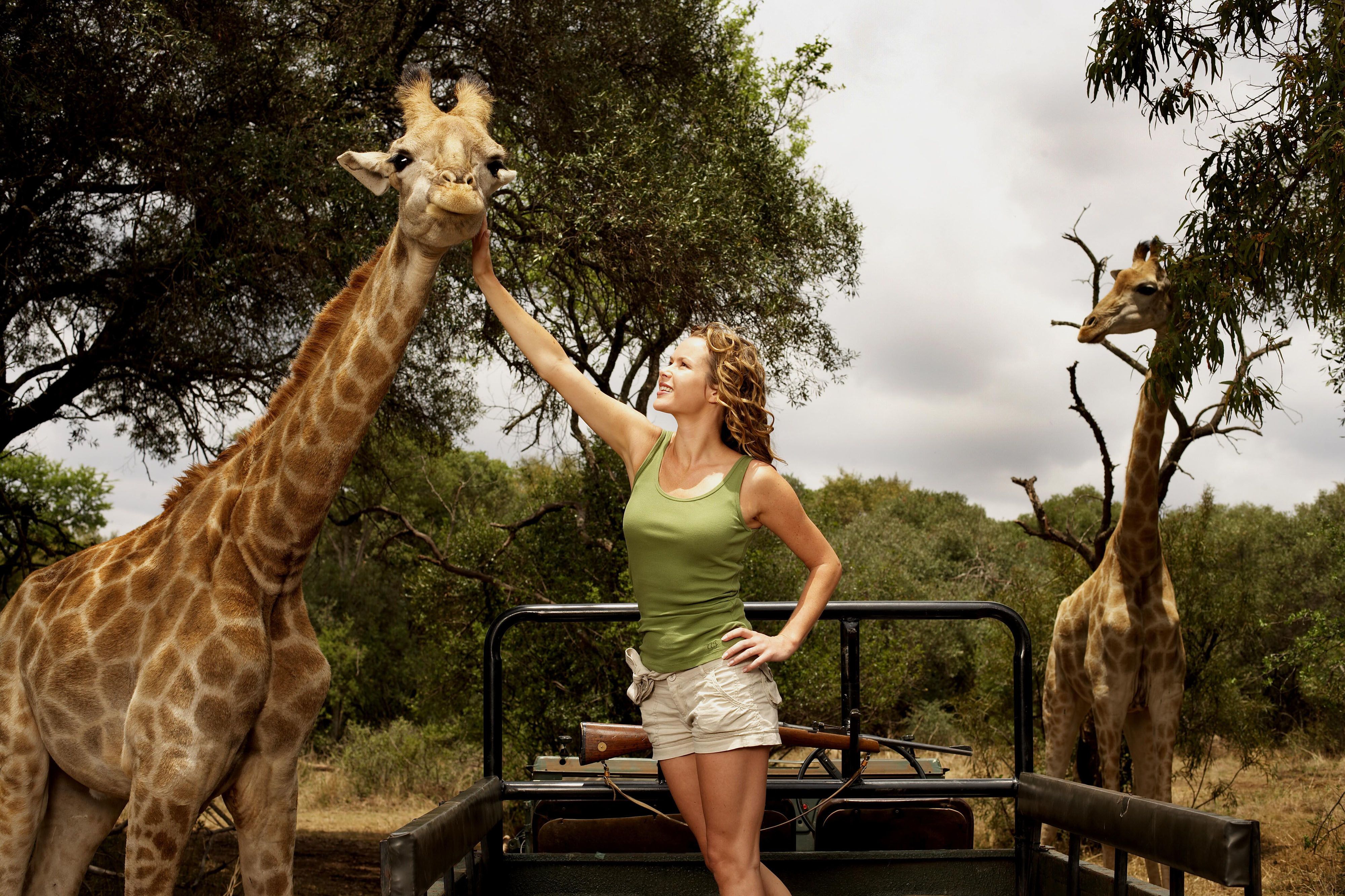 4000x2666 Wallpaper Actress, Giraffes, Giraffe
