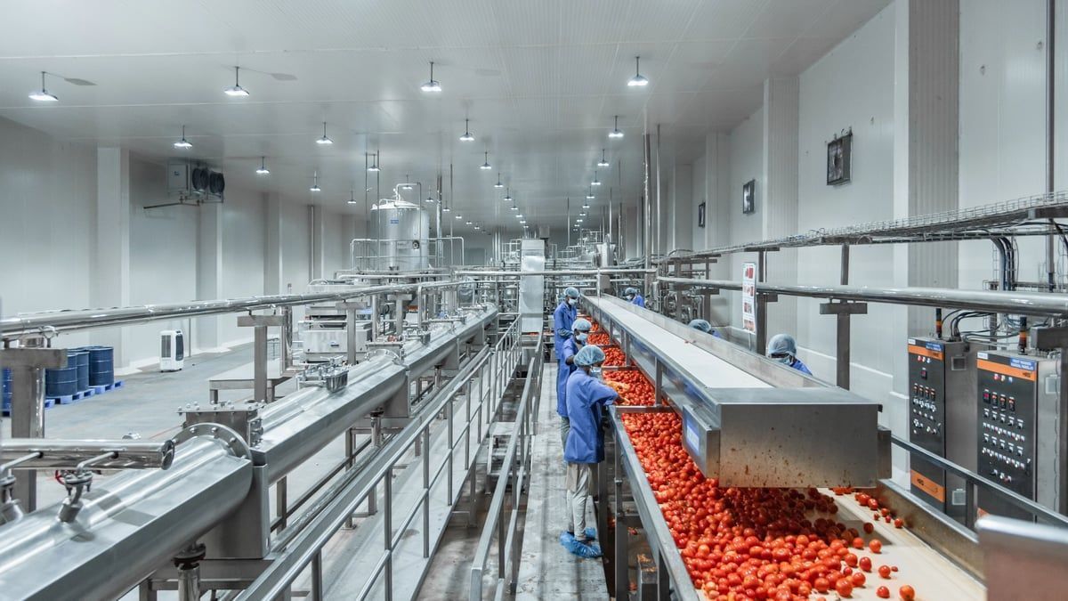 1200x675 Advanced Turnkey Process Line for Tomatoes