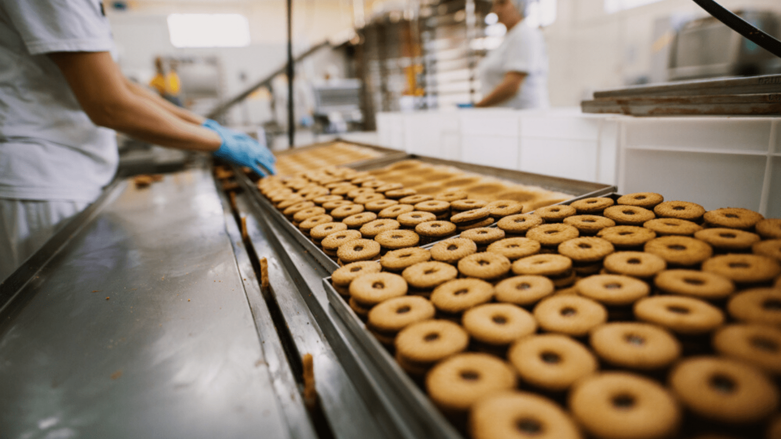 1600x900 Food & Ingredients Manufacturing. SGS