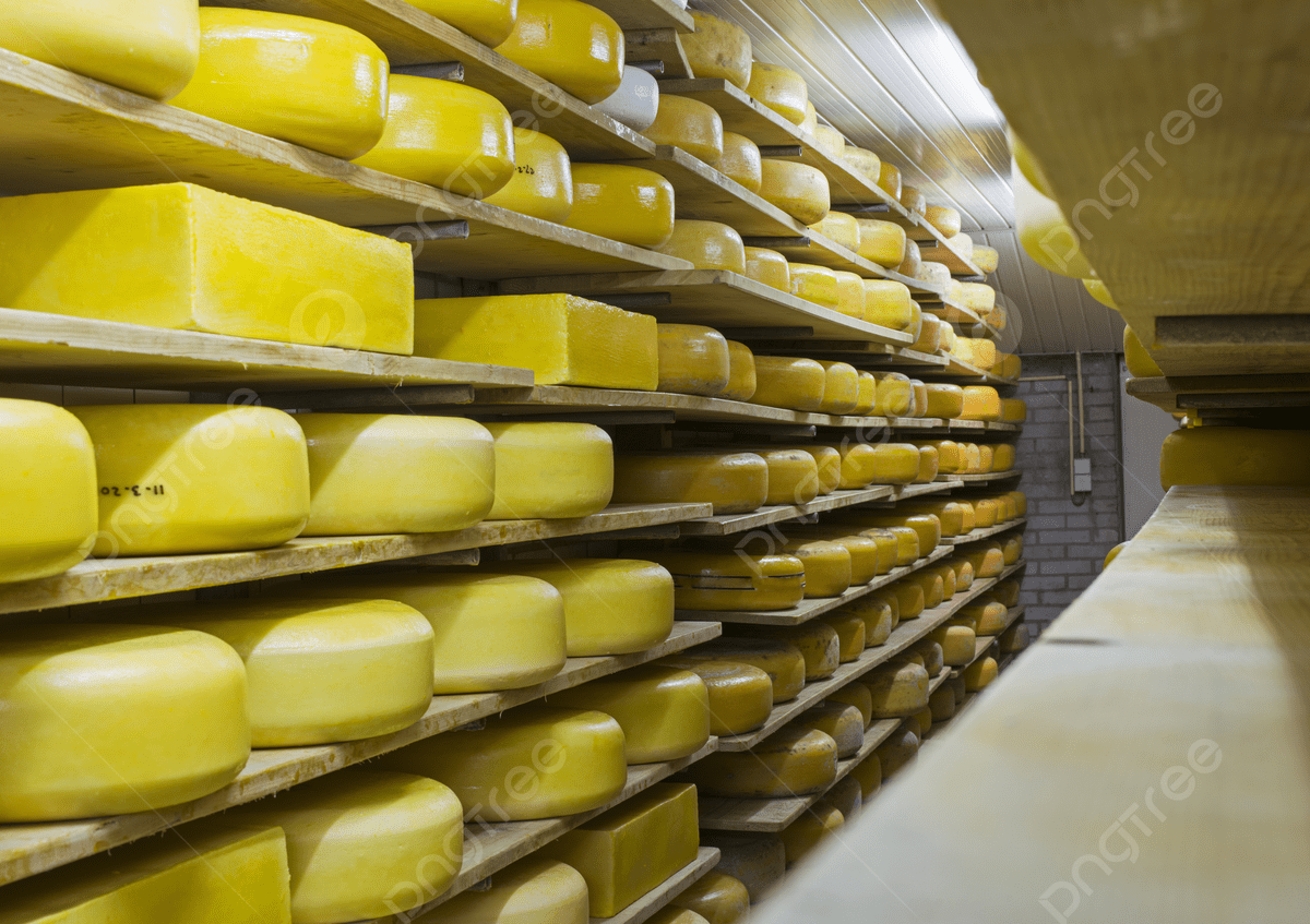 1200x847 Cheese Factory Stacked Food Large Photo