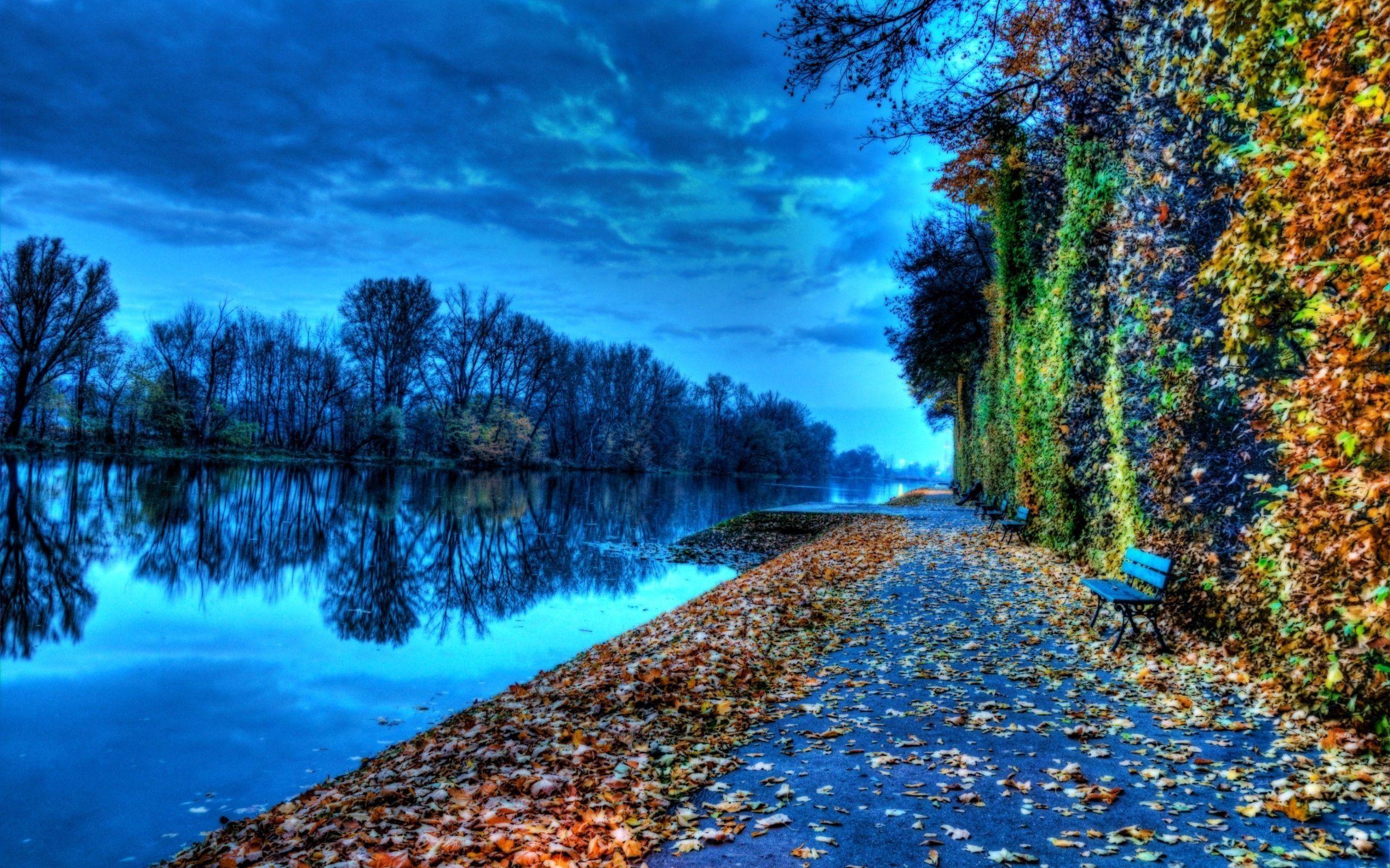 2560x1600 Fall Foliage Wallpaper HD