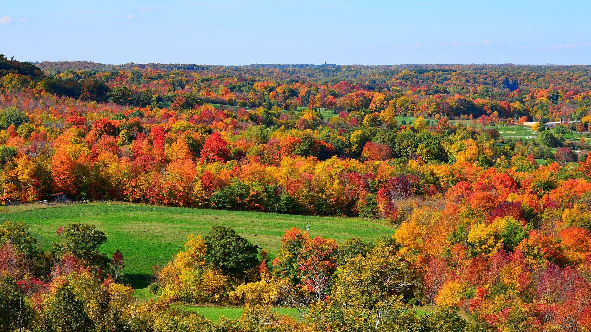 1920x1080 Aerial Photography in Autumn Season Wallpaper