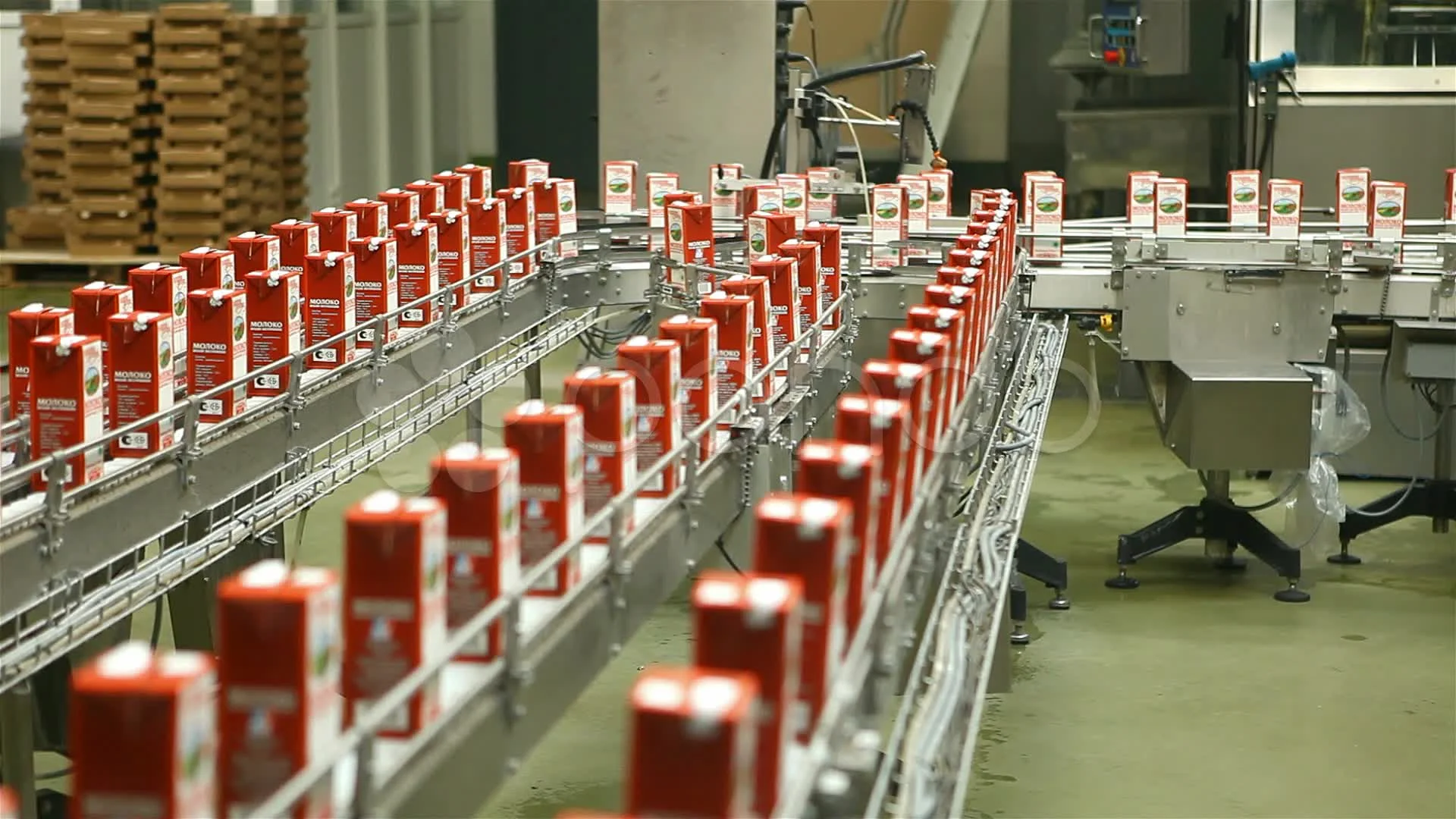 1920x1080 production line, packing food. Stock