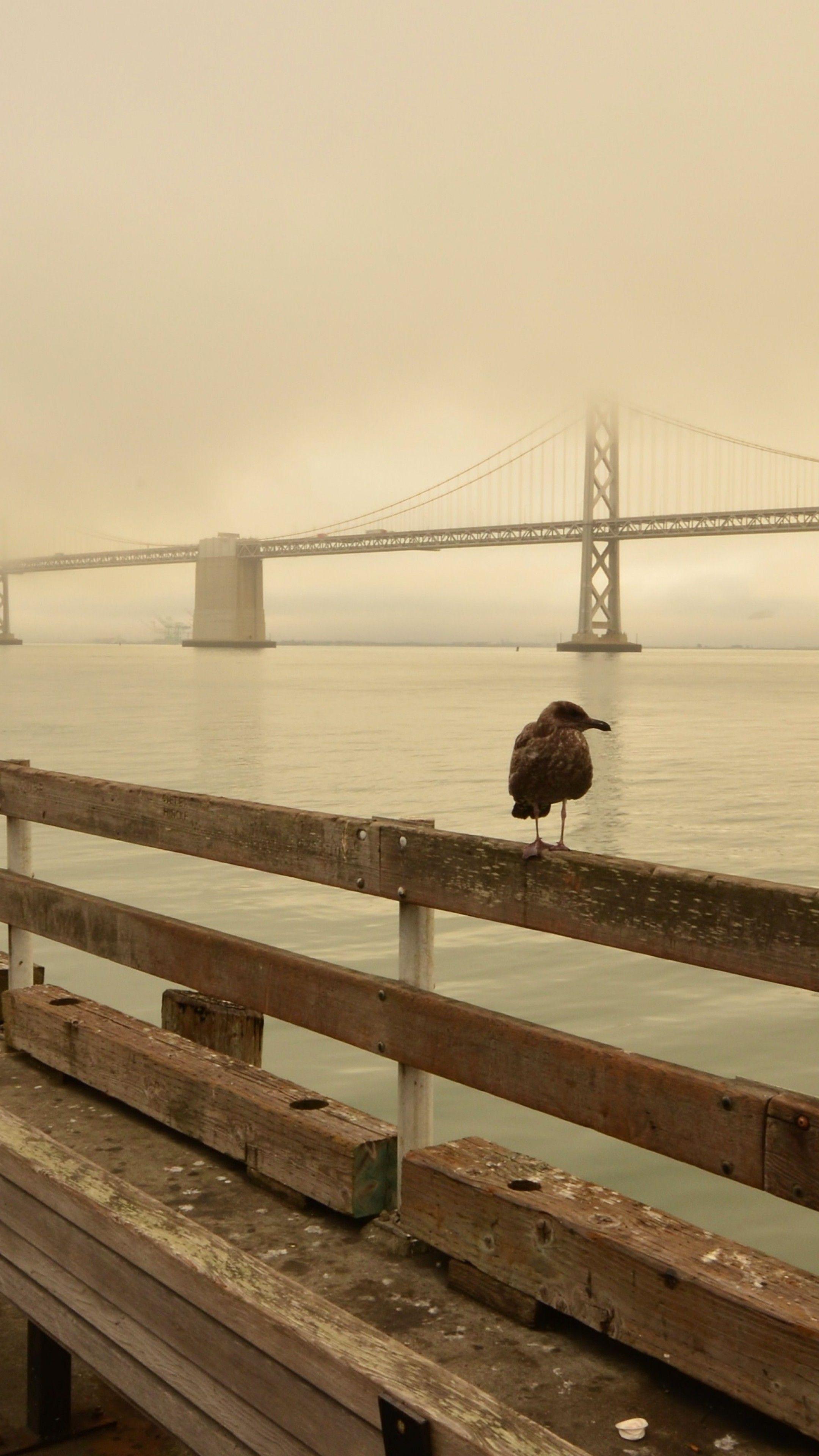 2160x3840 Wallpaper Bay Beach, San Francisco, California USA, Best