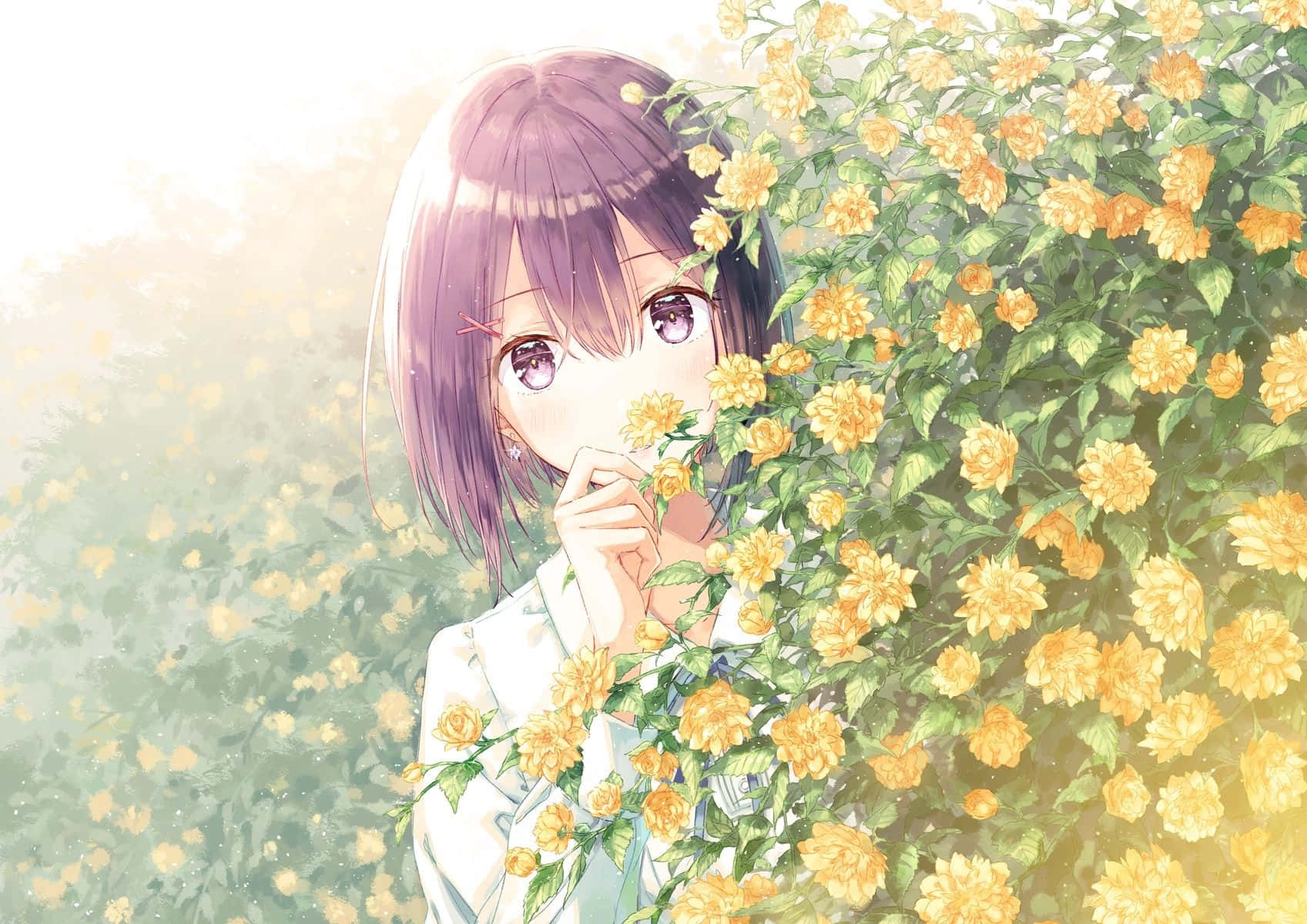 1697x1200 Yellow Flowers Anime Girl Wallpaper