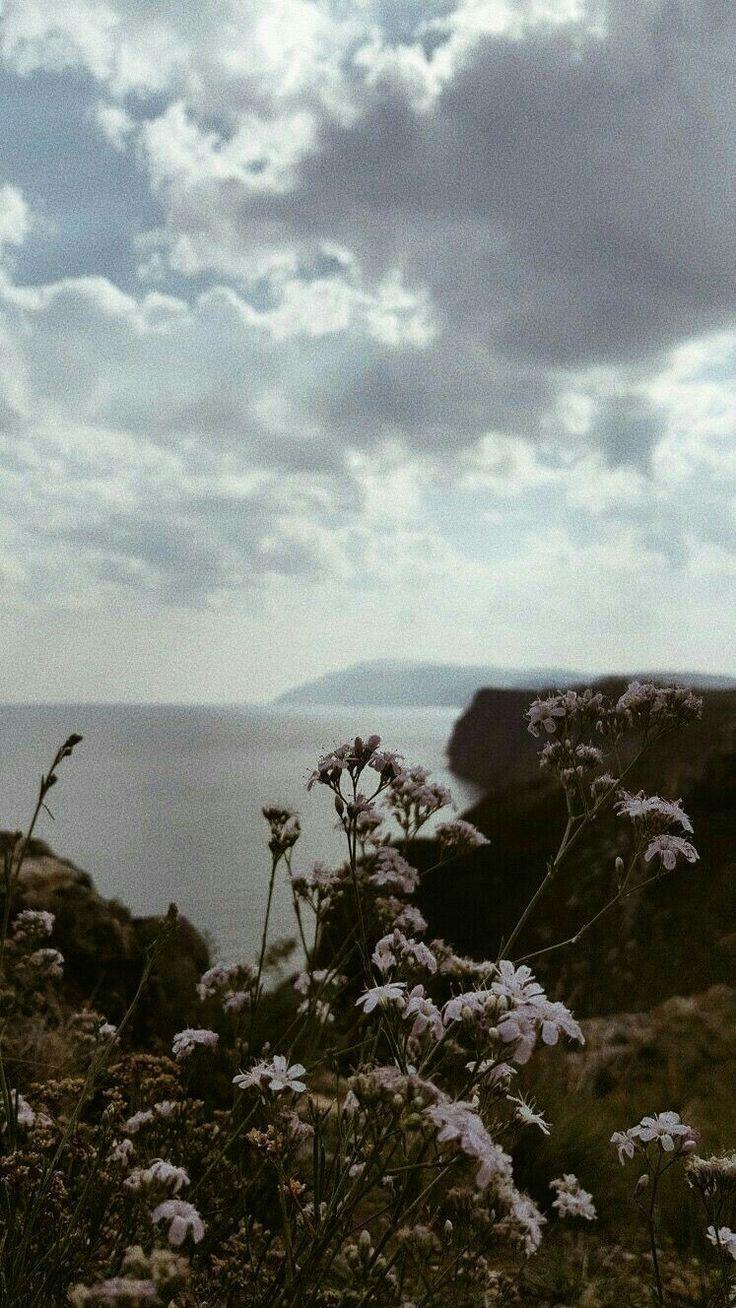 736x1308 Look at this beautiful world - #beautiful #World