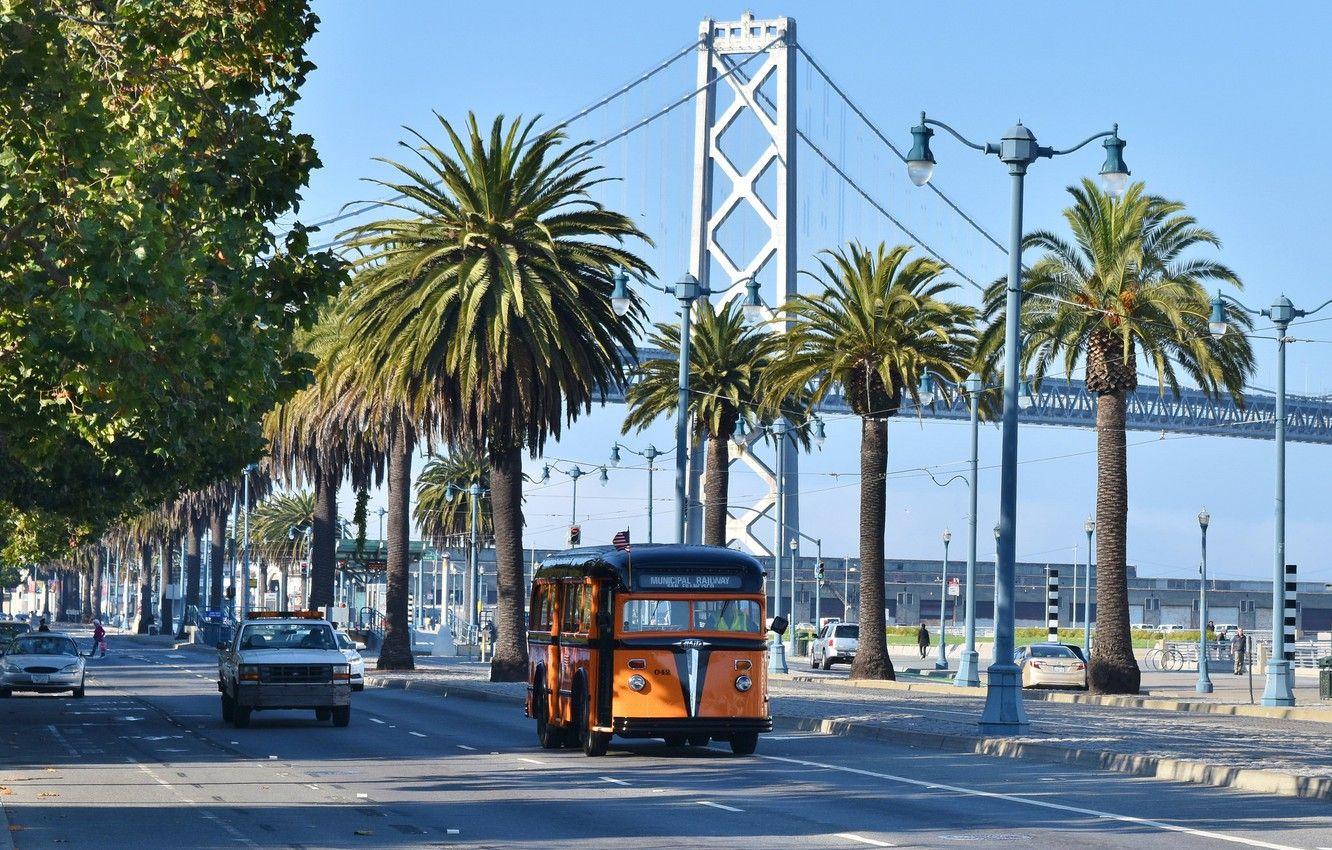 1332x850 Wallpaper bridge, the city, palm trees, street, cars, San