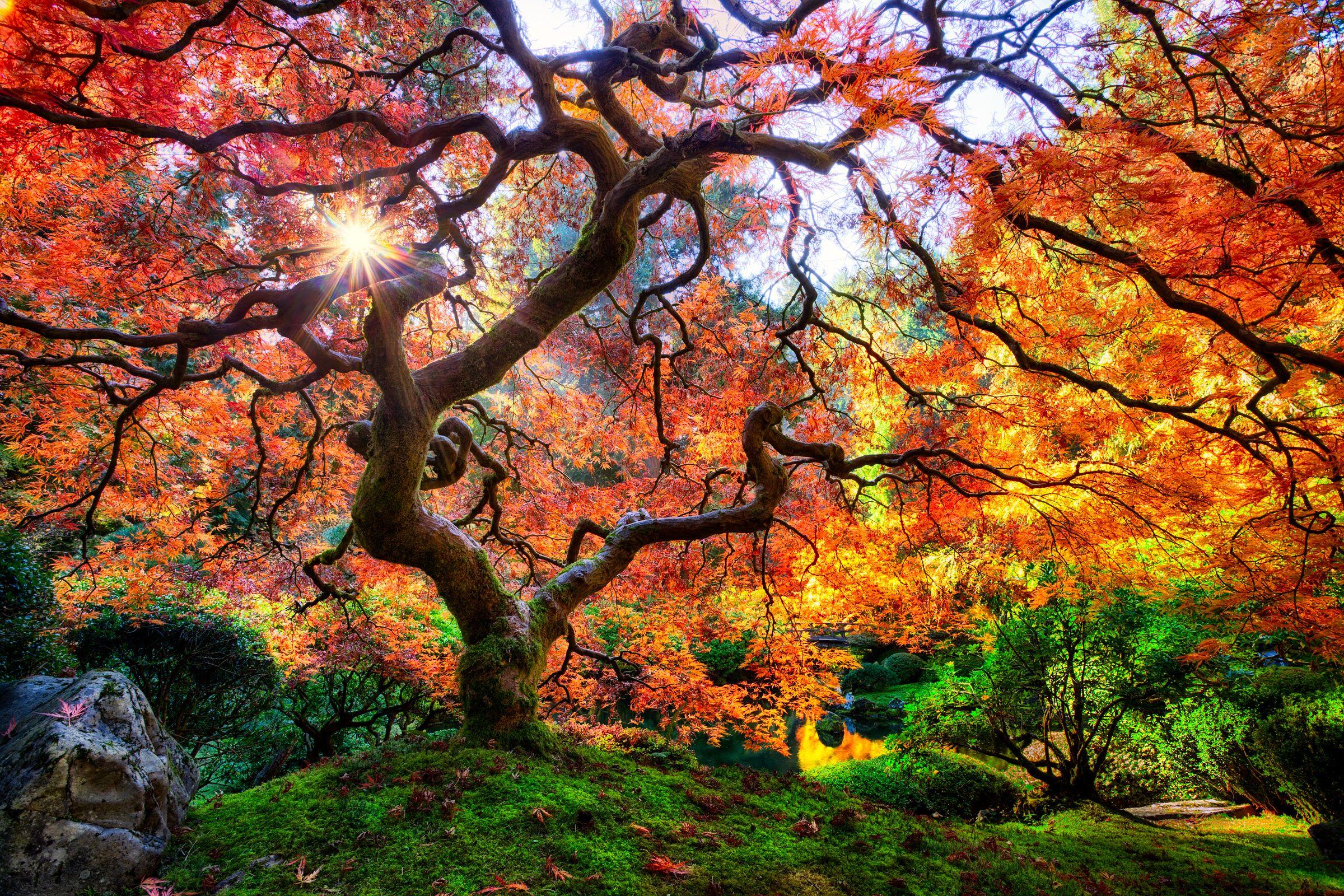 2400x1600 Portland Japanese Garden