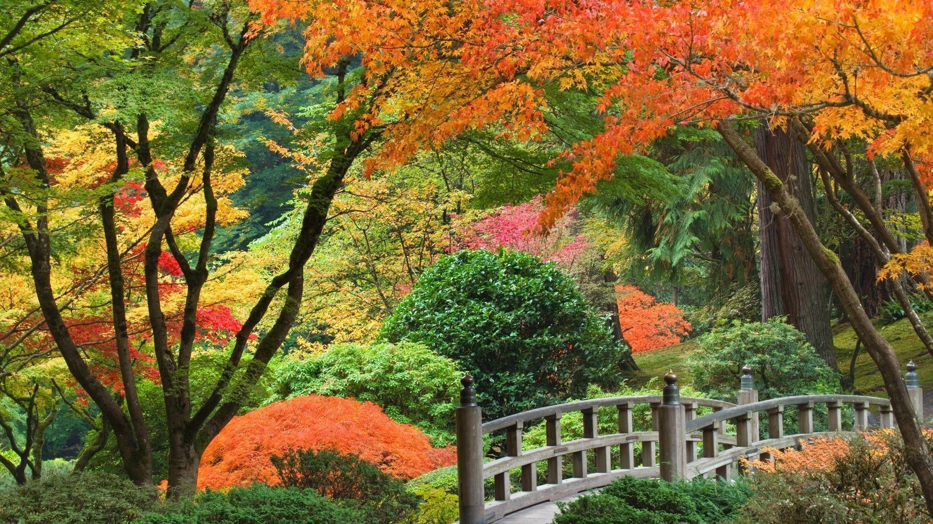 Portland Japanese Garden Wallpapers Top Free Portland Japanese