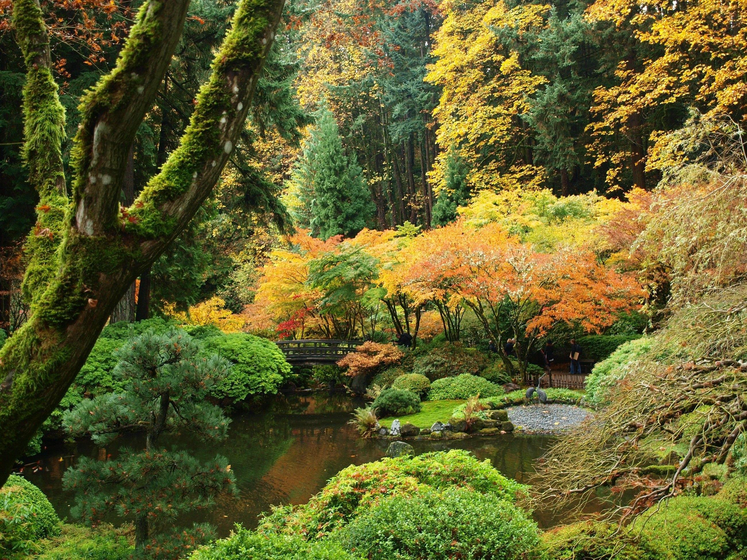 2600x1950 Lakes: Shrubs Autumn Portland Japanese Nature Trees Garden Usa