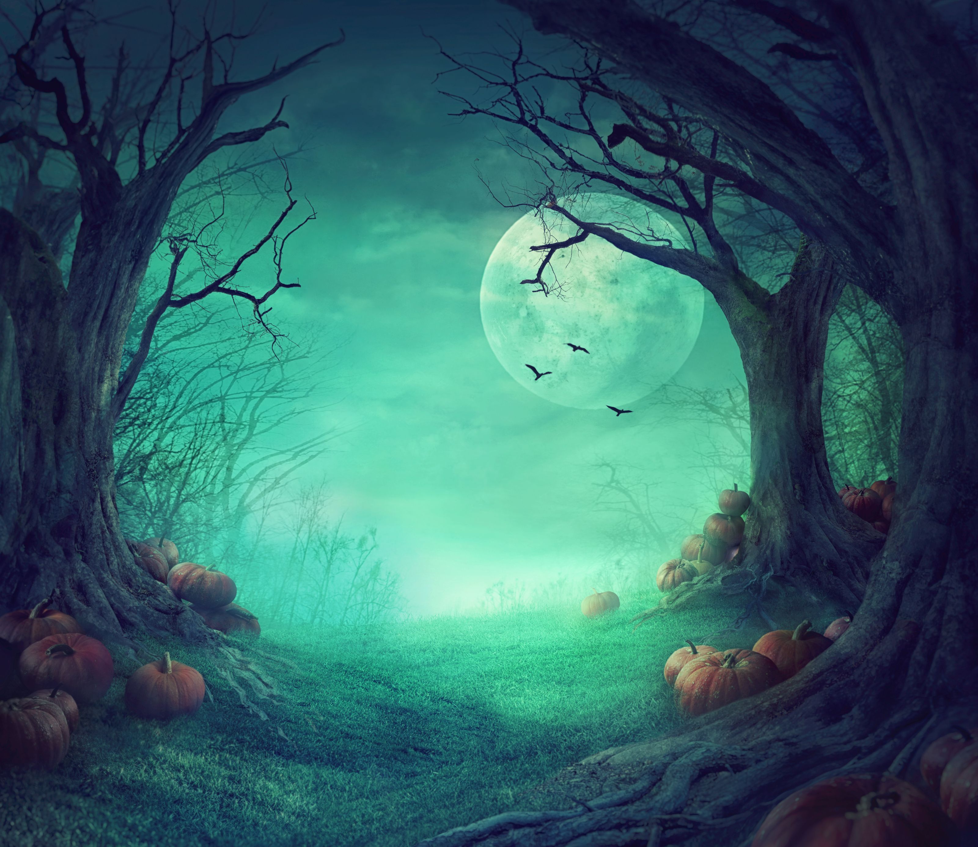 3200x2771 Spooky Halloween Woods Wallpaper Mural