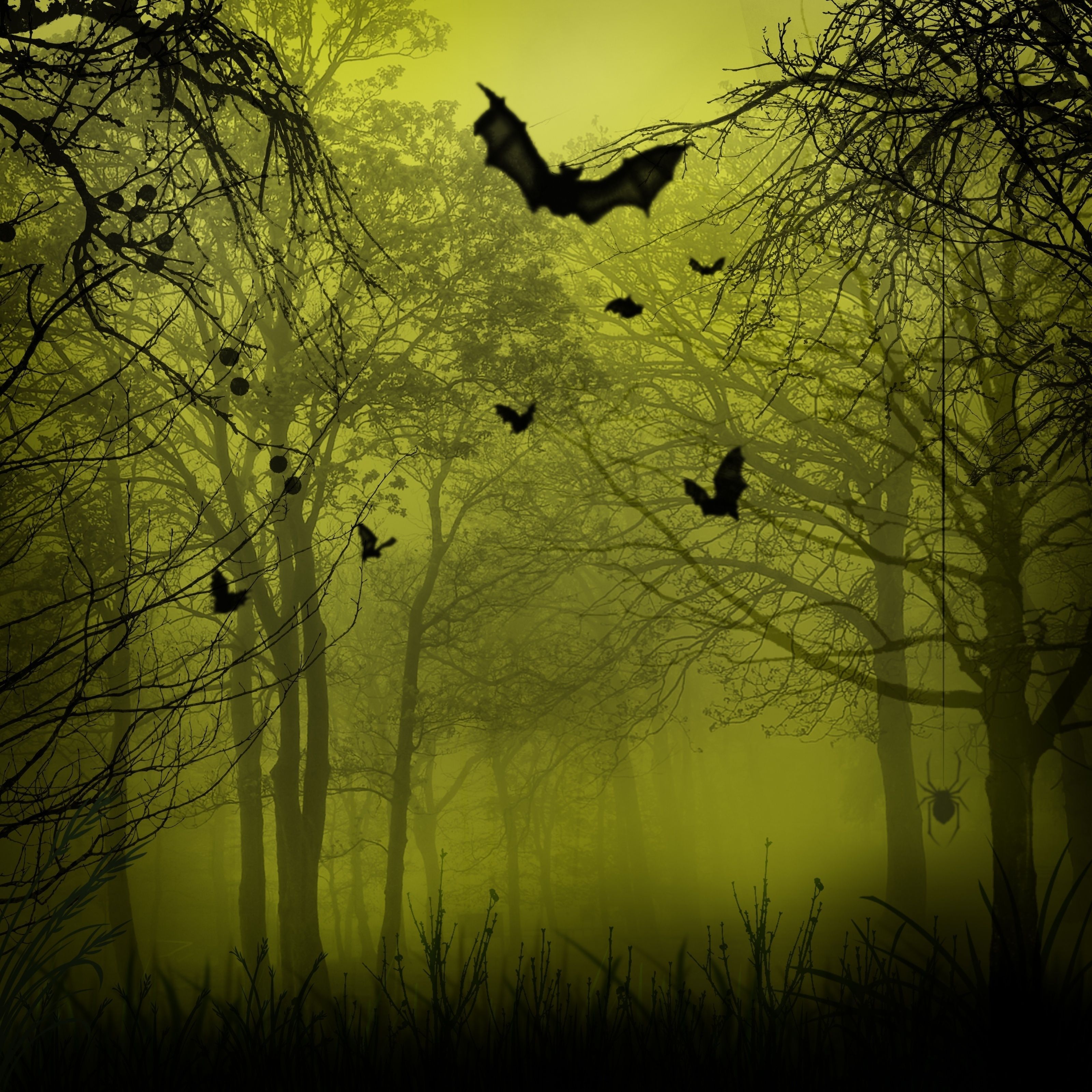3200x3200 Spooky Forest Mural Your Way