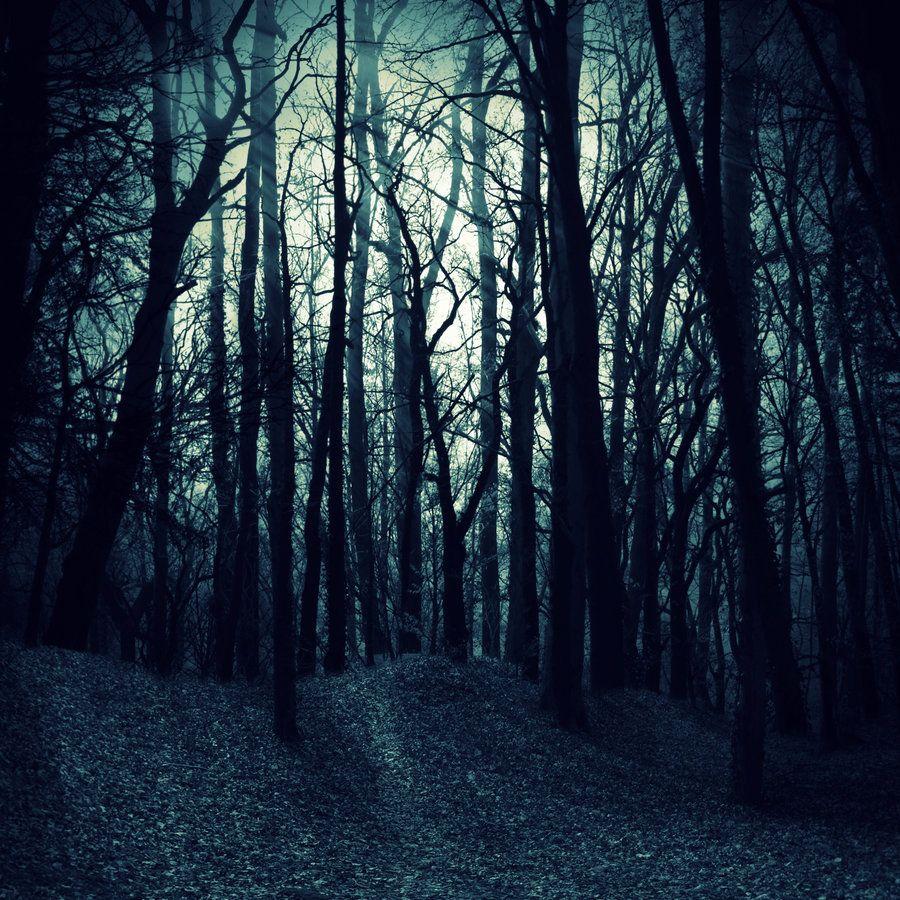 900x900 Scary Woods Wallpaper