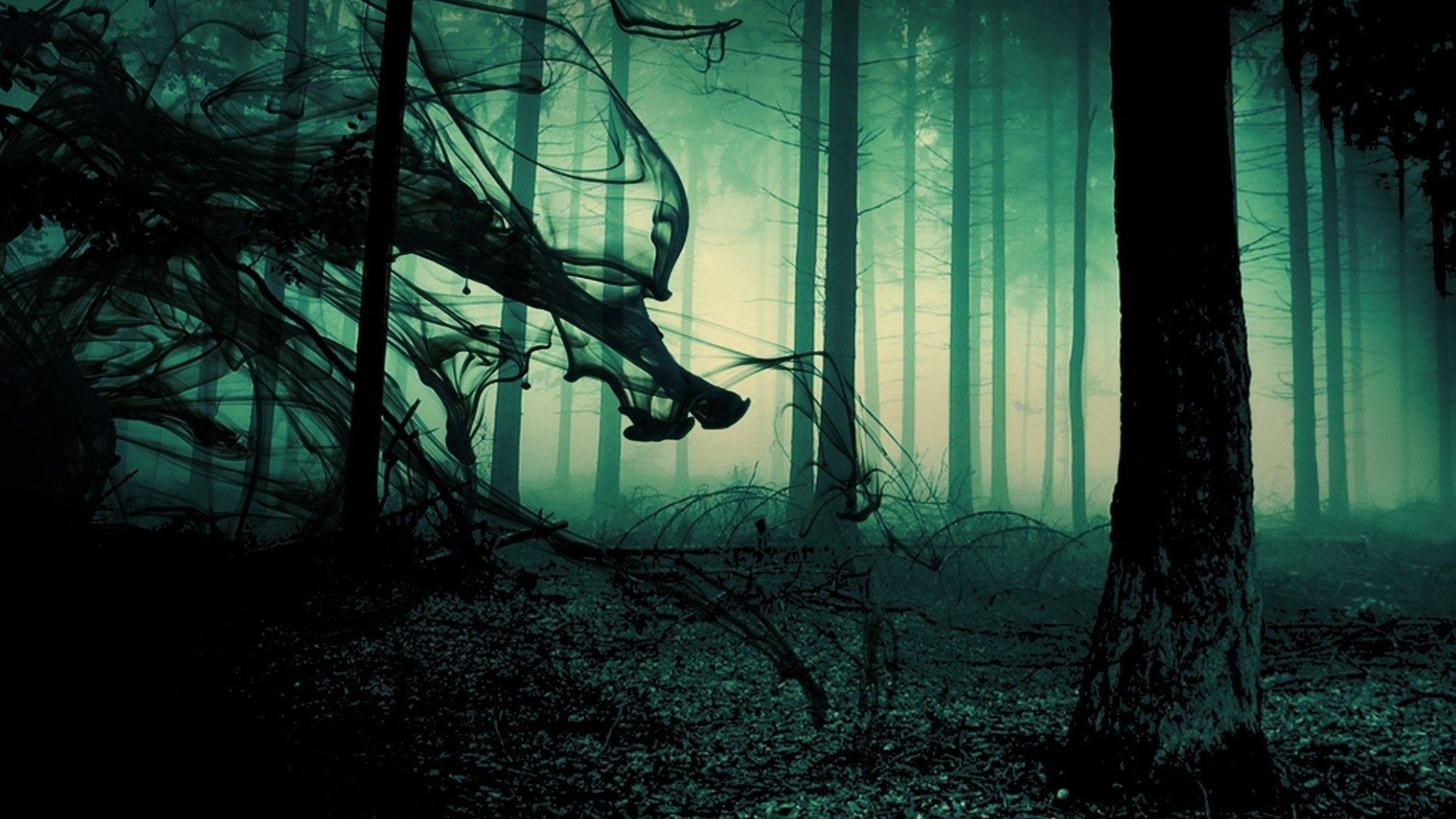 1920x1080 Creepy Forest Virtual Background