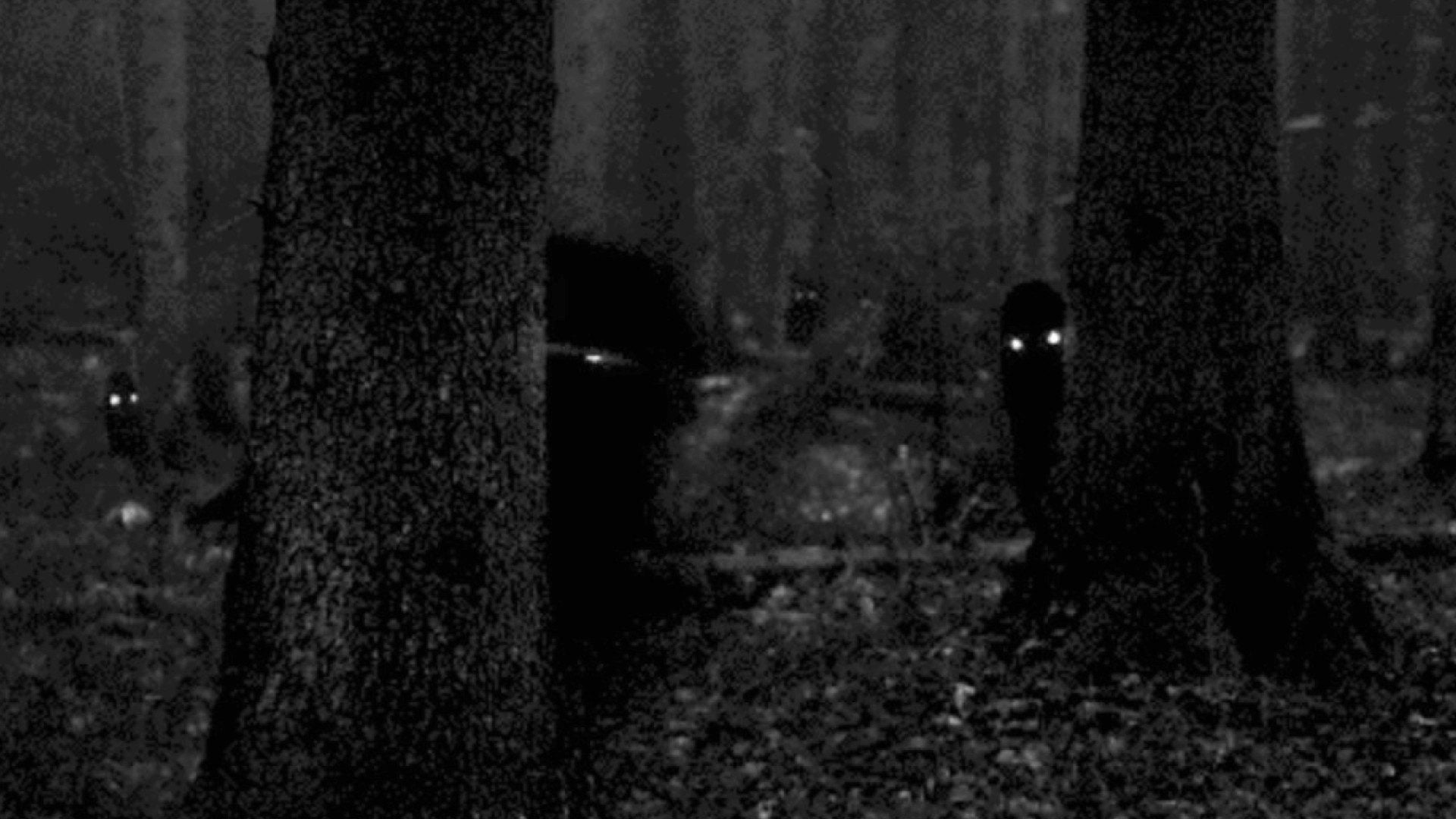 1920x1080 Creepy Forest Virtual Background