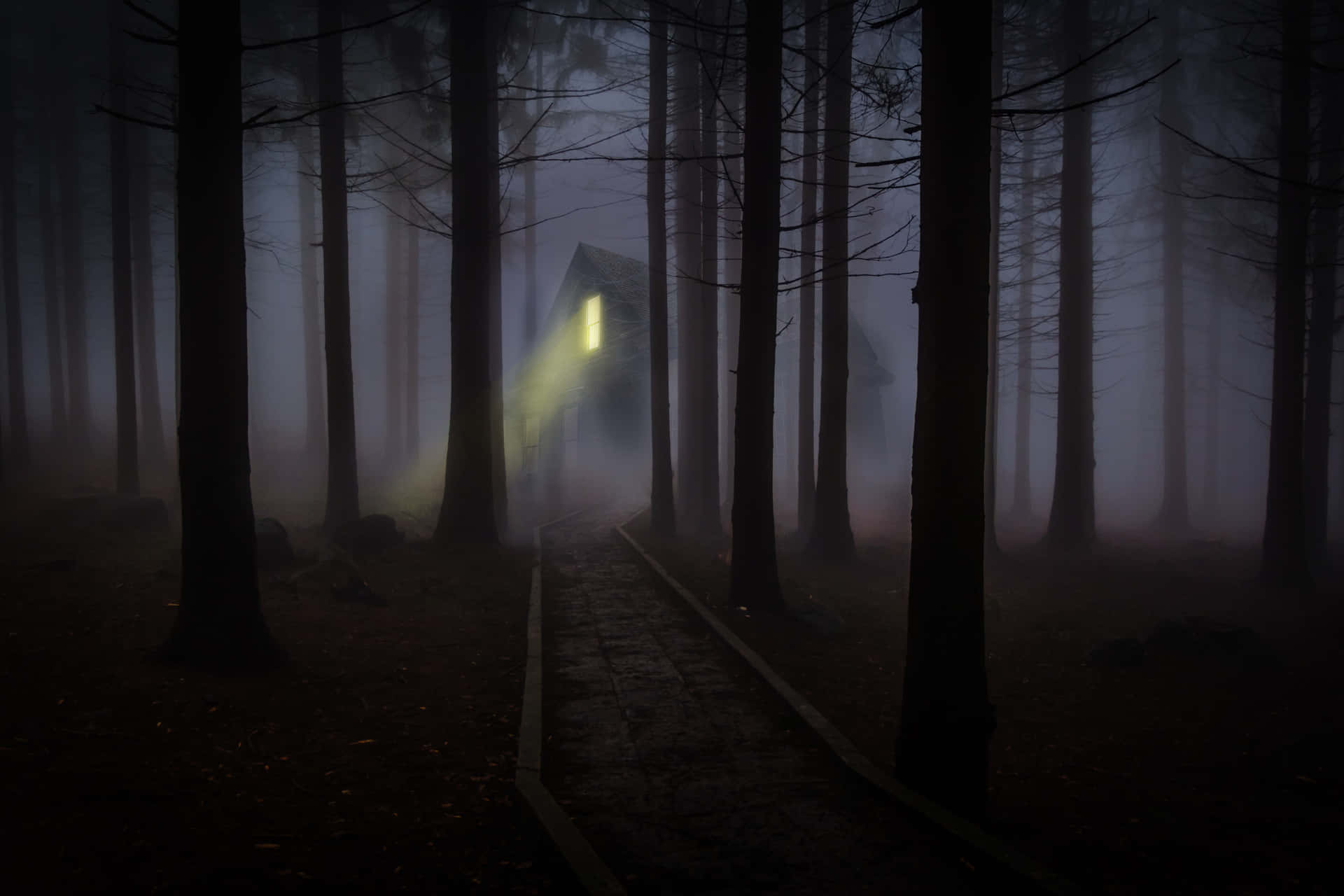 1920x1280 Spooky Forest Desktop Wallpaper