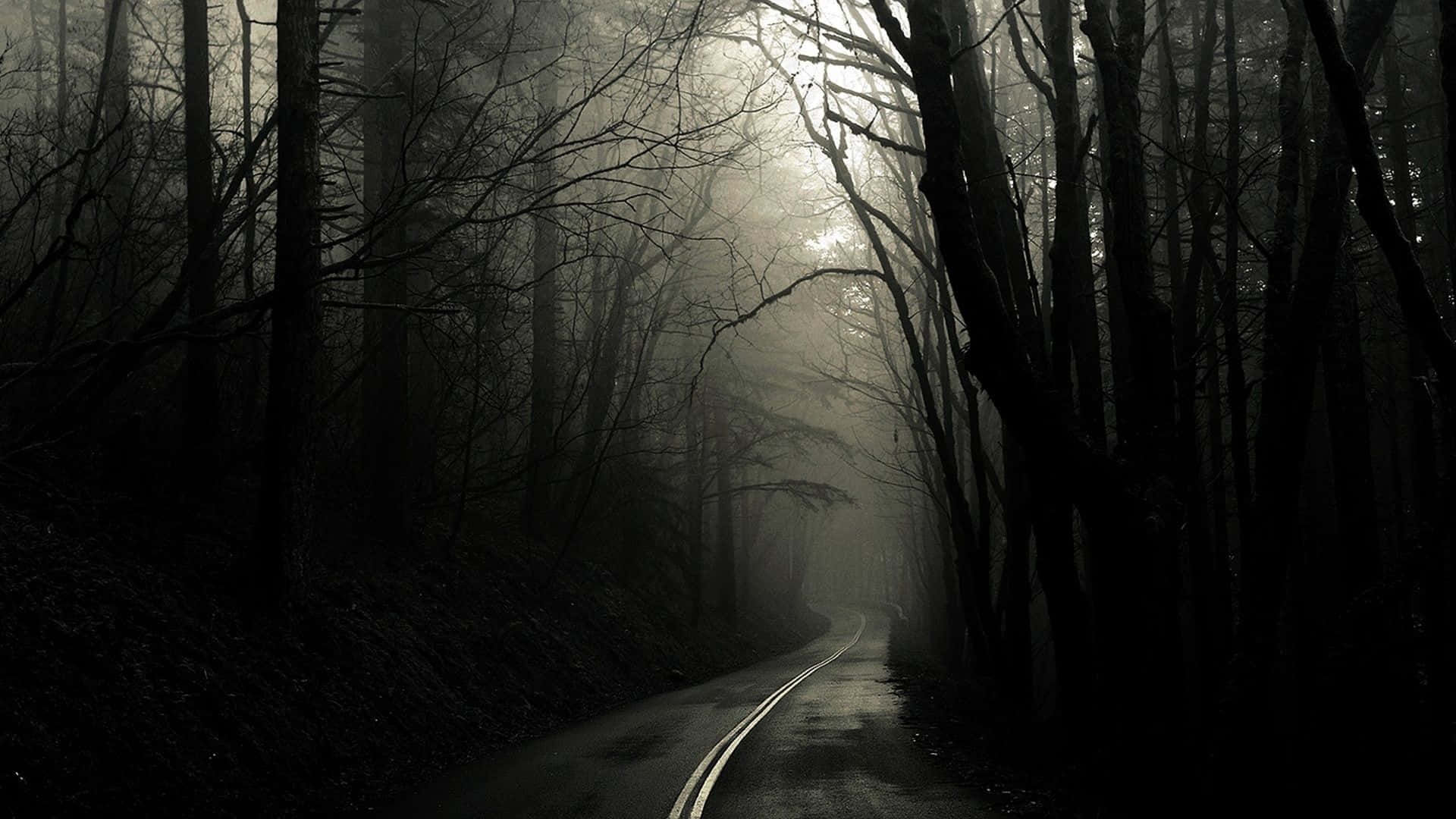 1920x1080 Download Spooky Dark Forest Desktop