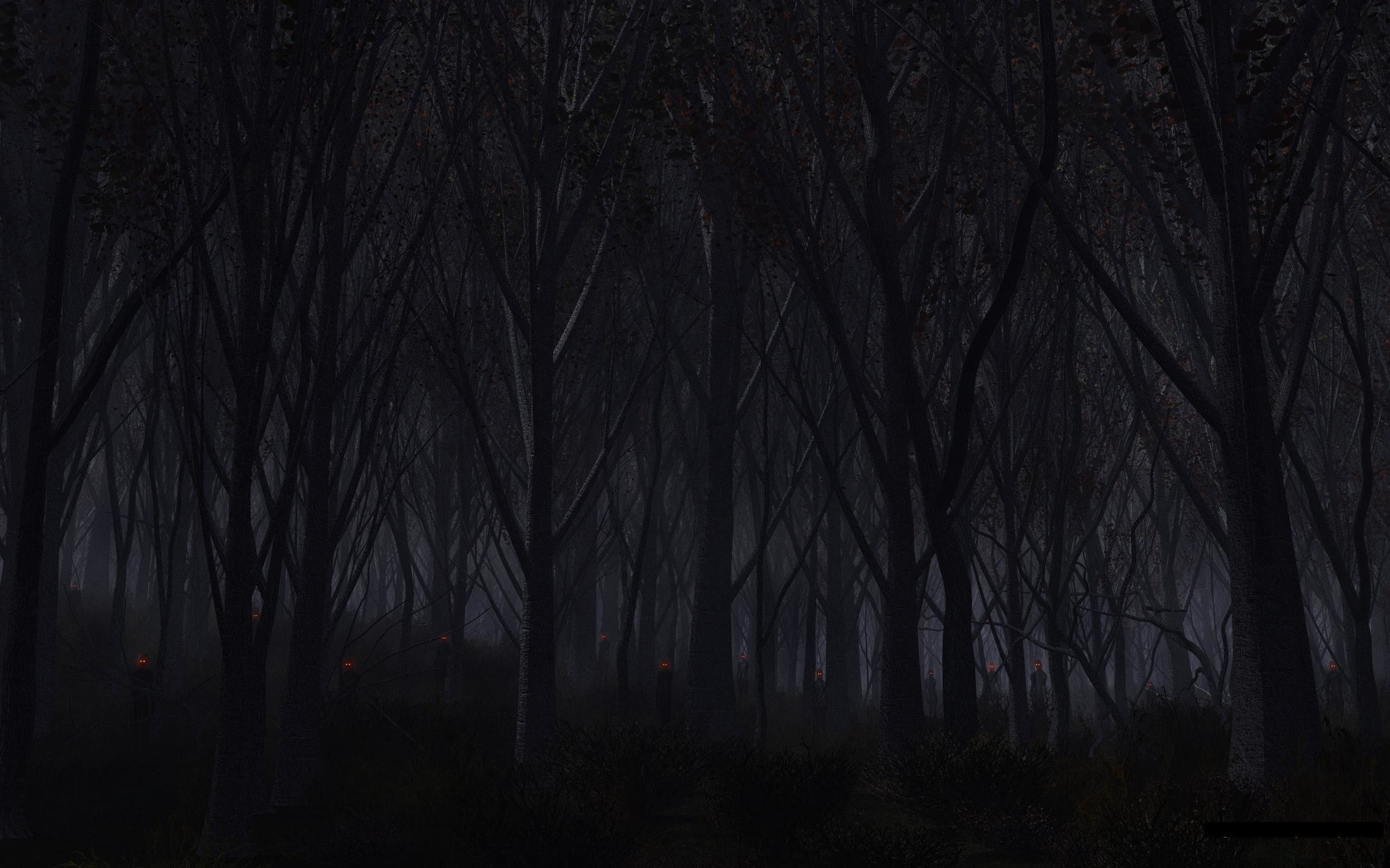 2560x1600 Creepy Forest Wallpaper