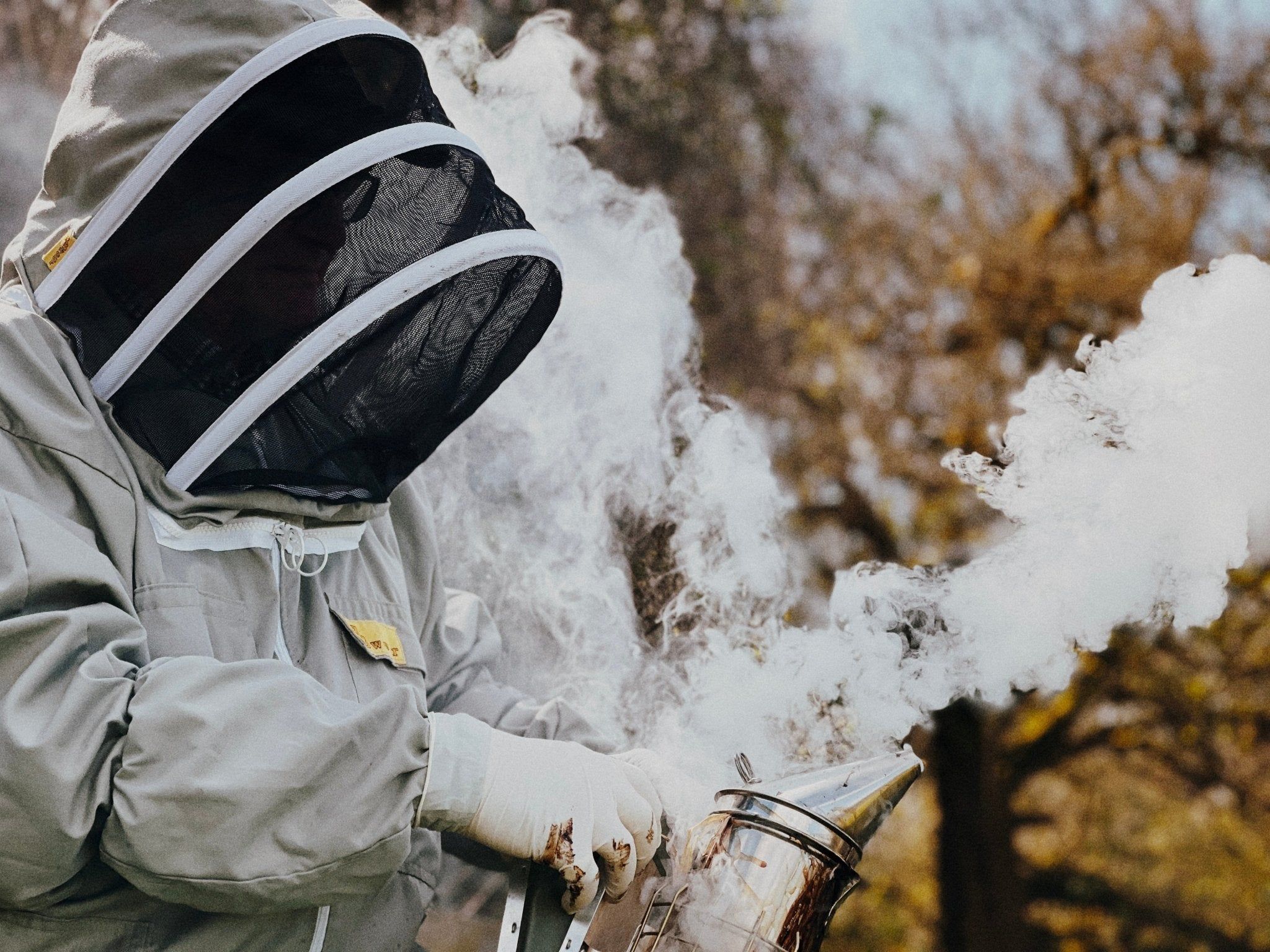2048x1536 Meeting the Beekeeper: Harry Hazlem