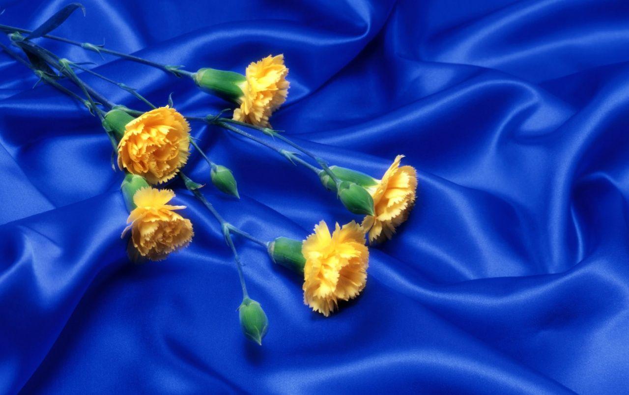 1280x804 Rose Art wallpaper. Rose Art