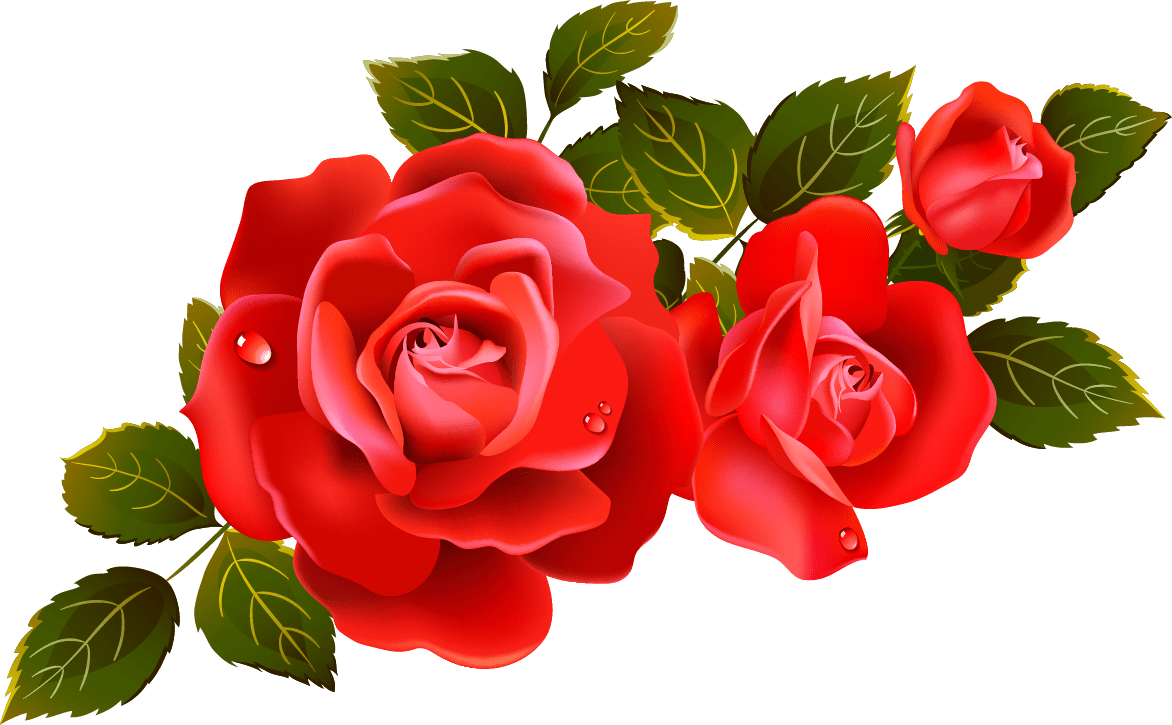 1172x725 Free Roses Art, Download Free Clip Art, Free Clip Art