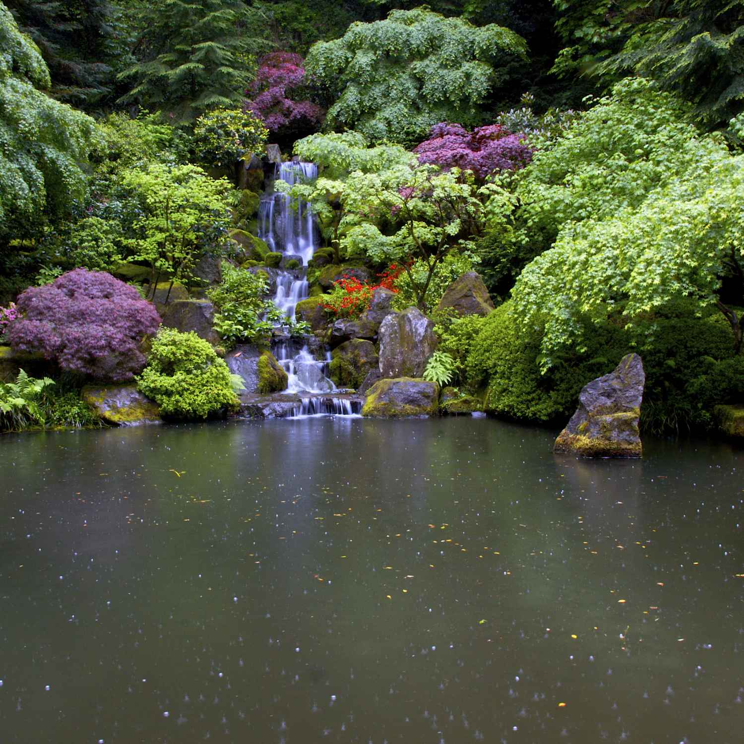 Portland Japanese Garden Wallpapers - Top Free Portland Japanese Garden ...