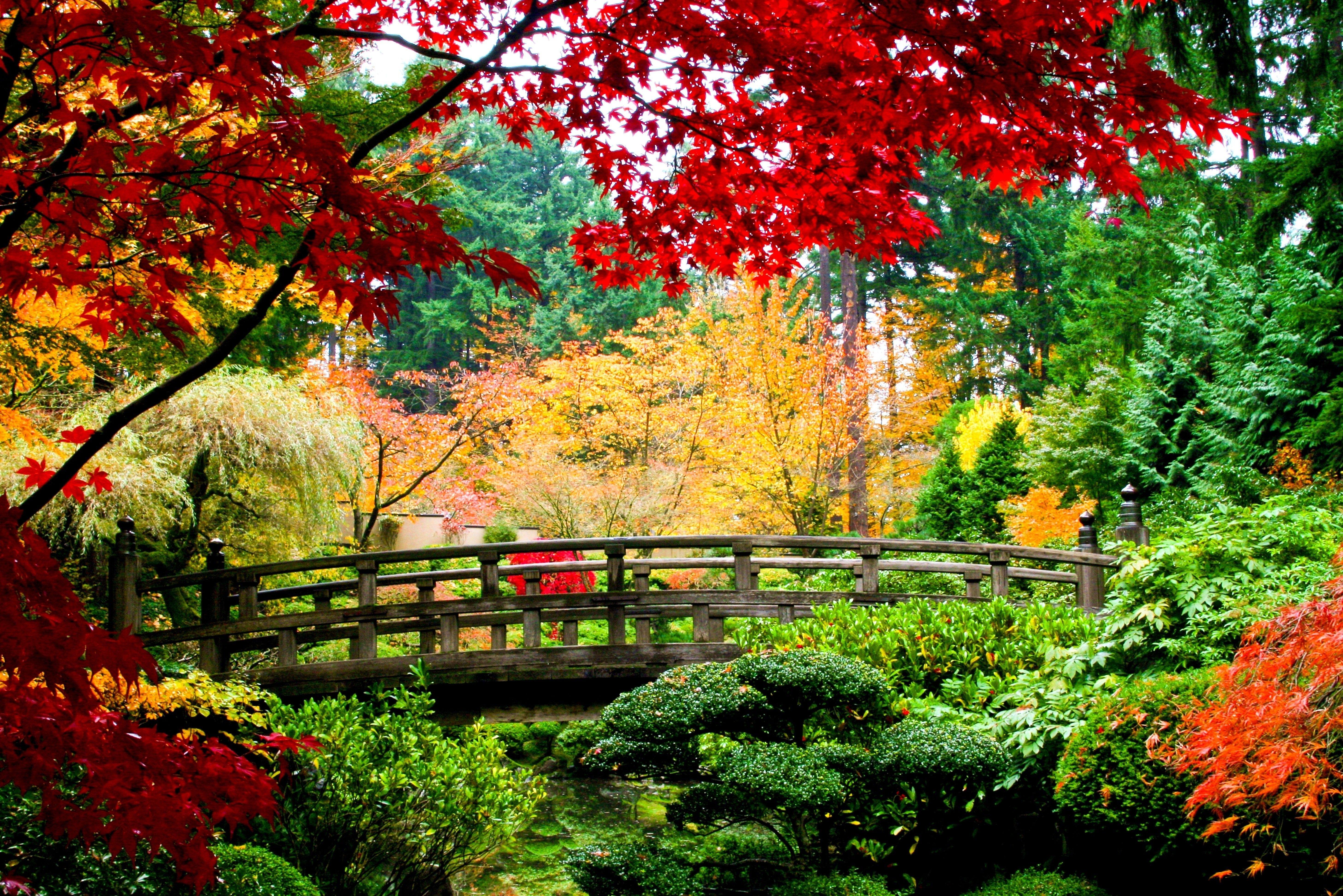5830x3890 Fall Garden Bridge 5830x3890. Favorite background and wallpaper