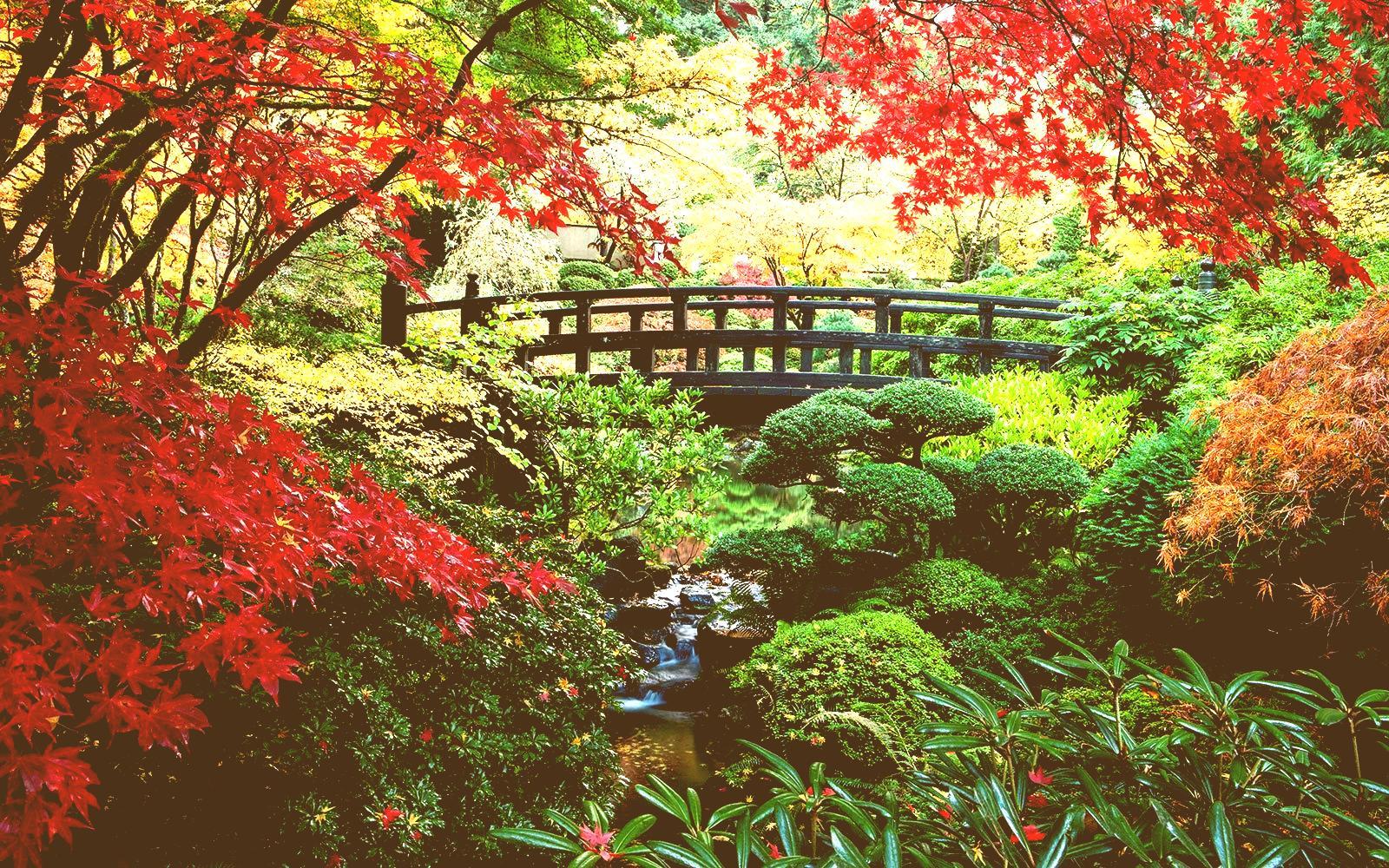 1600x1000 Download Beautiful Garden Solidaria Co Wallpaper Wallpaper Gardens